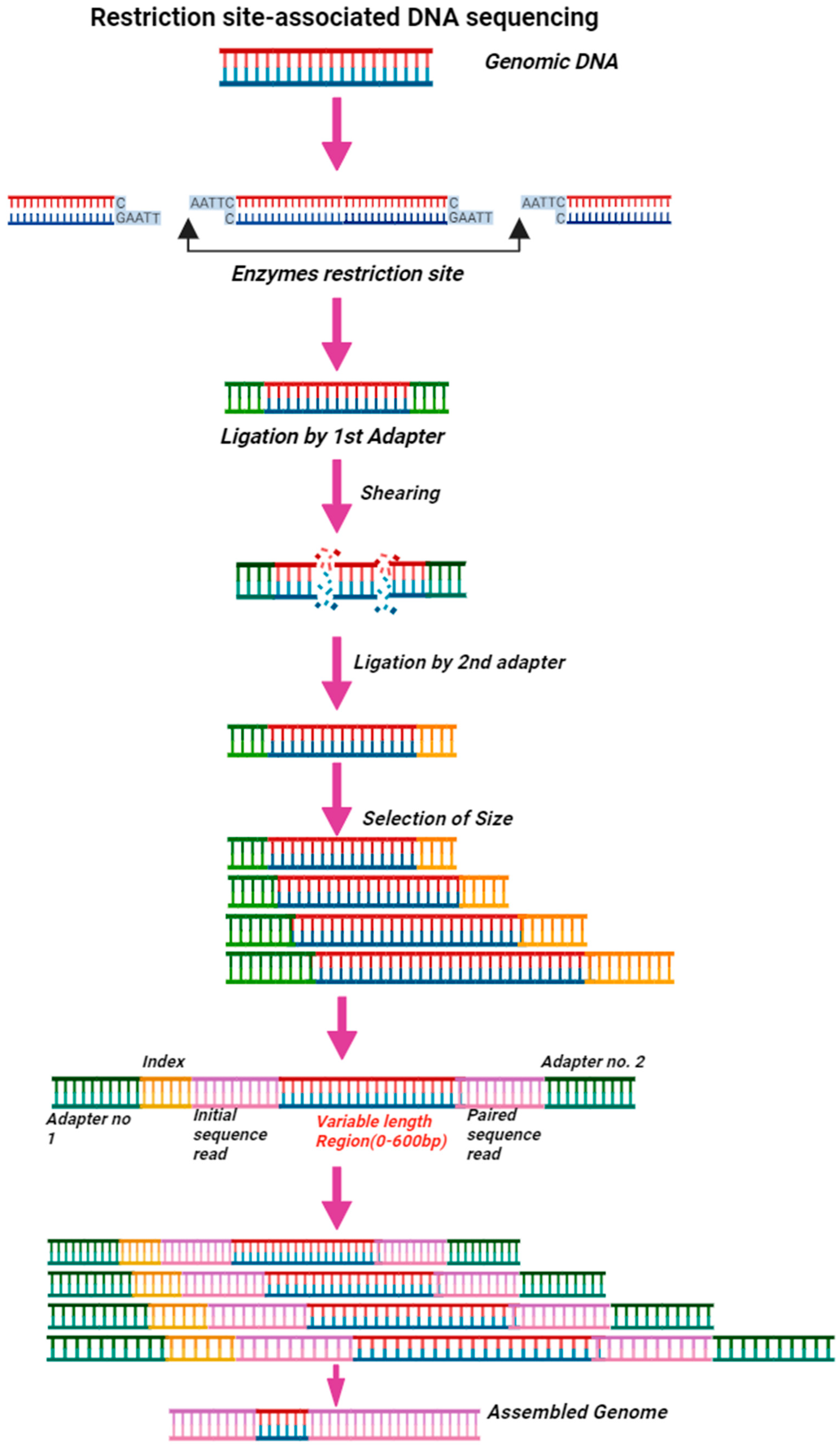 Microorganisms 12 00082 g003