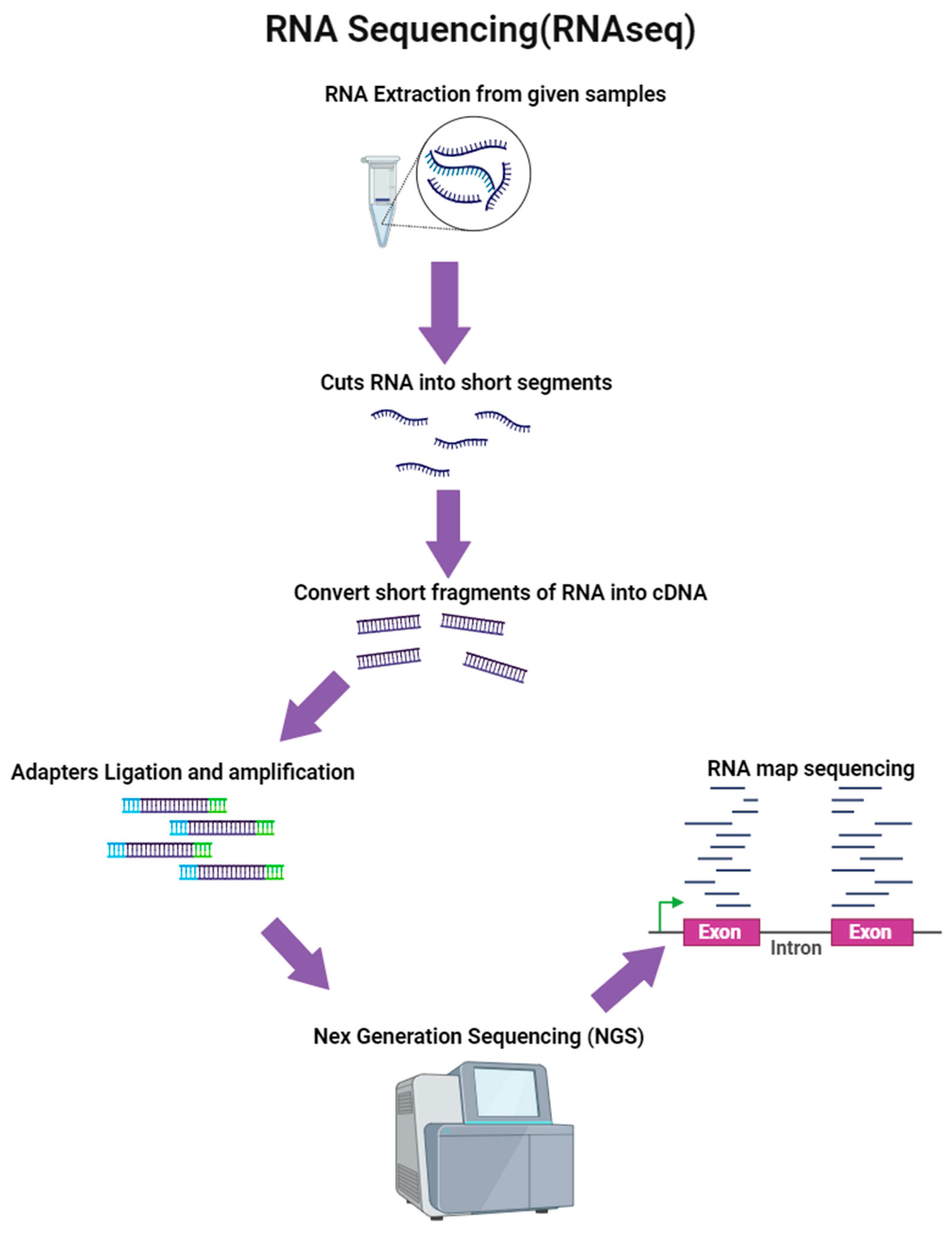 Microorganisms 12 00082 g004