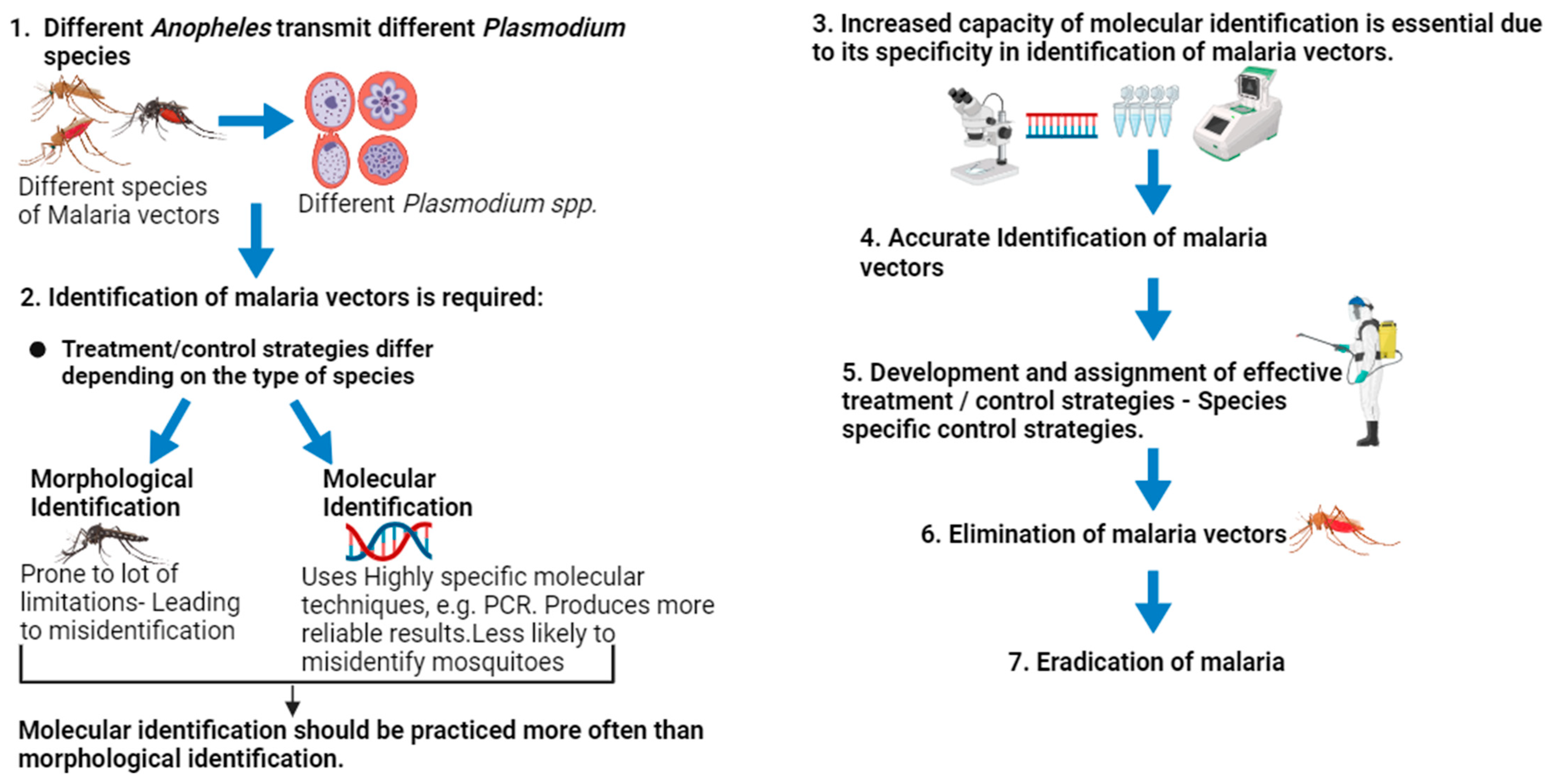 Microorganisms 12 00082 g005