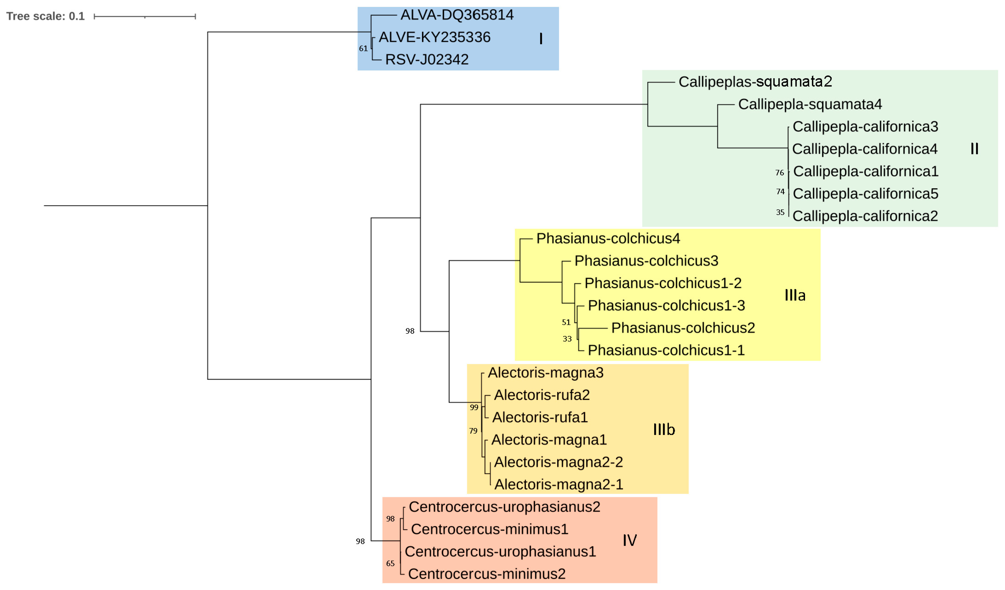 Microorganisms 12 00086 g003 Microorganisms 12 00086 g003