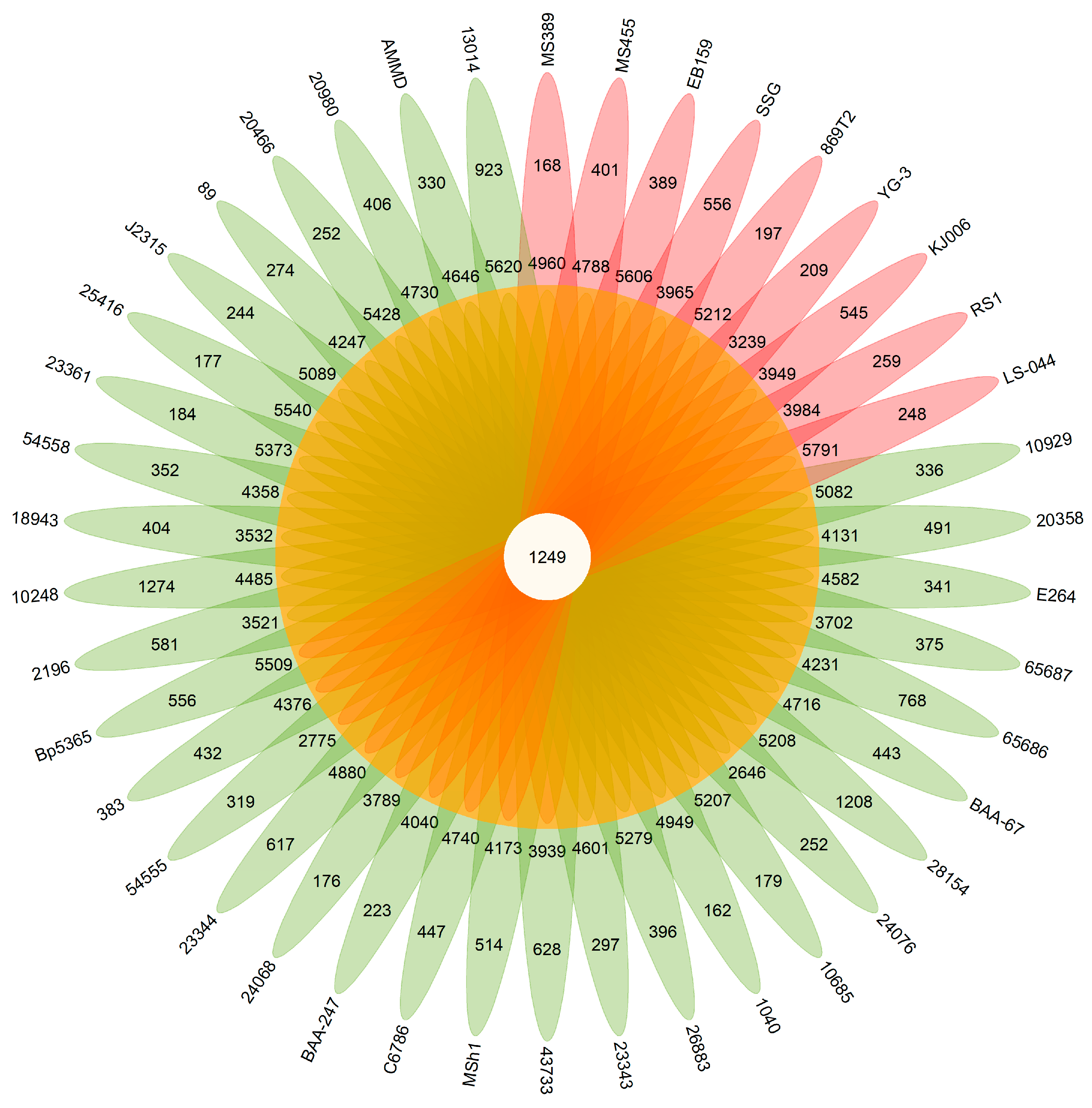 Microorganisms 12 00100 g003