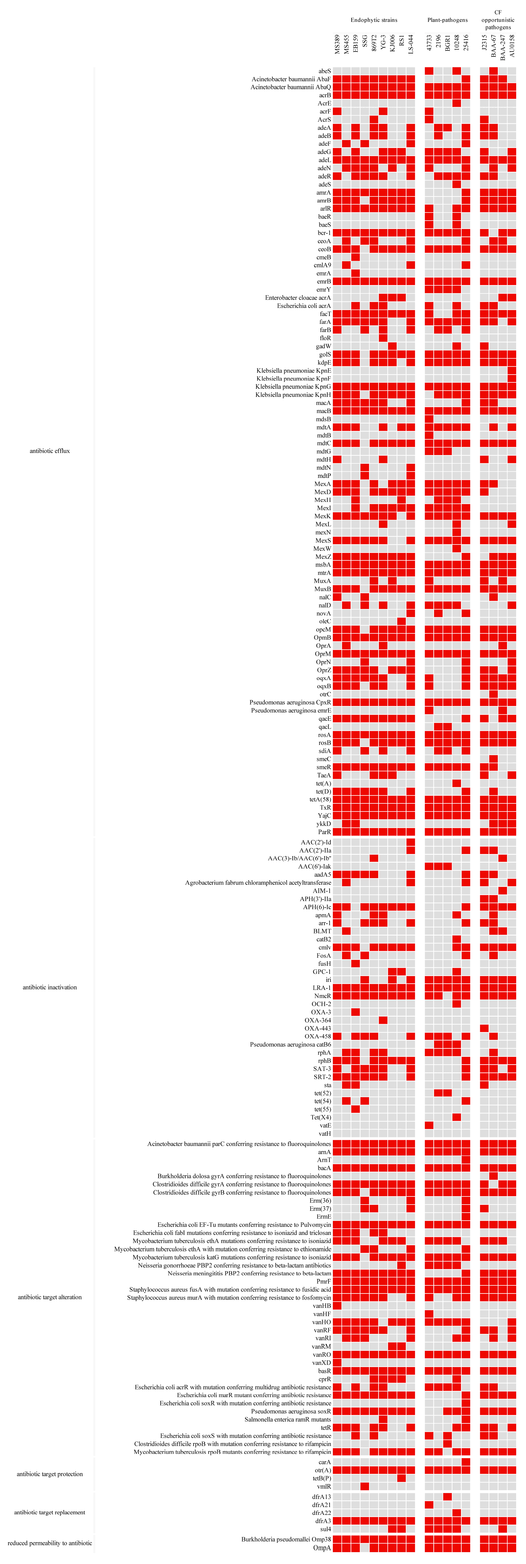 Microorganisms 12 00100 g008