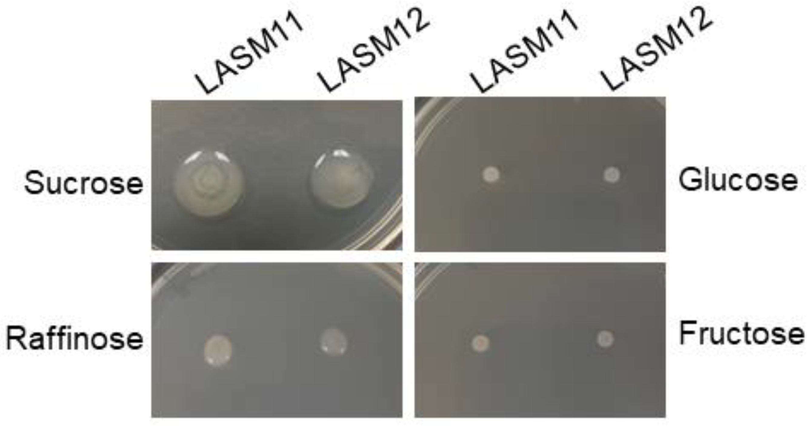 Microorganisms 12 00107 g001