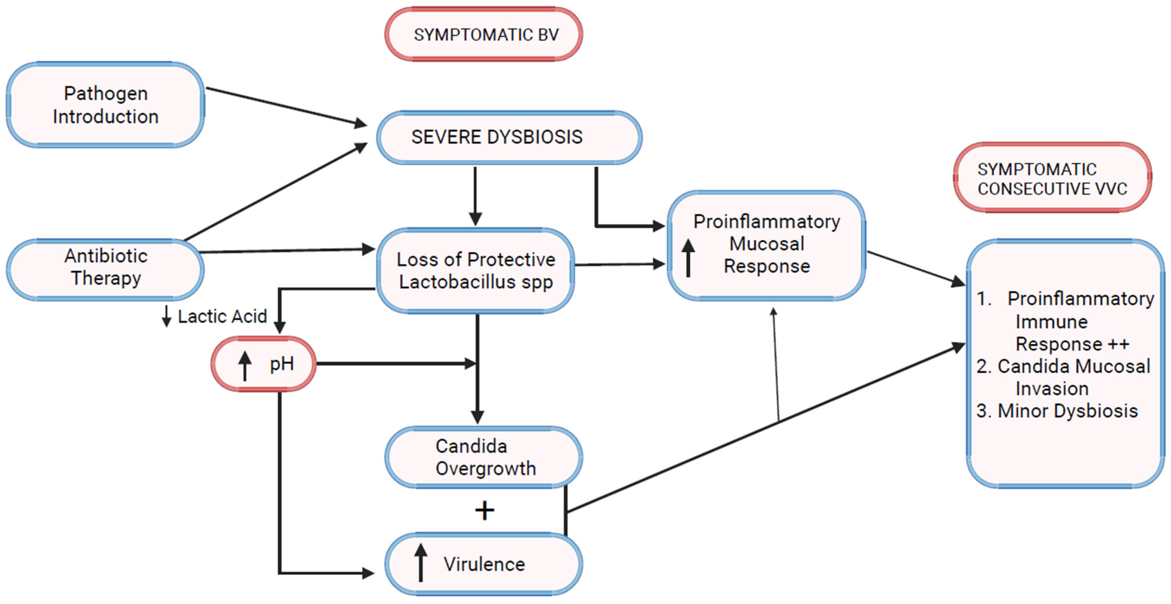 Microorganisms 12 00108 g002