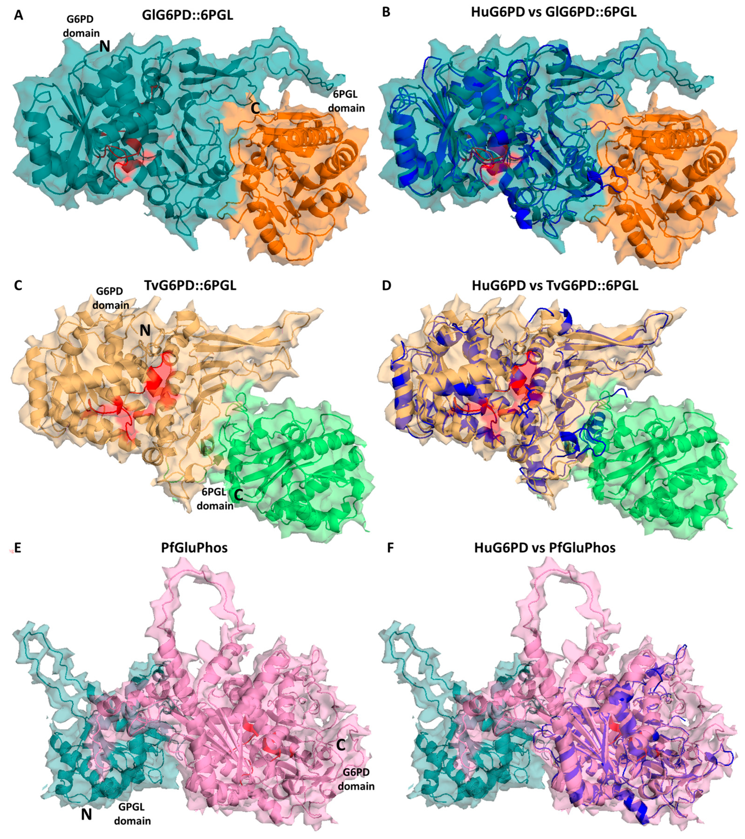 Microorganisms 12 00112 g003