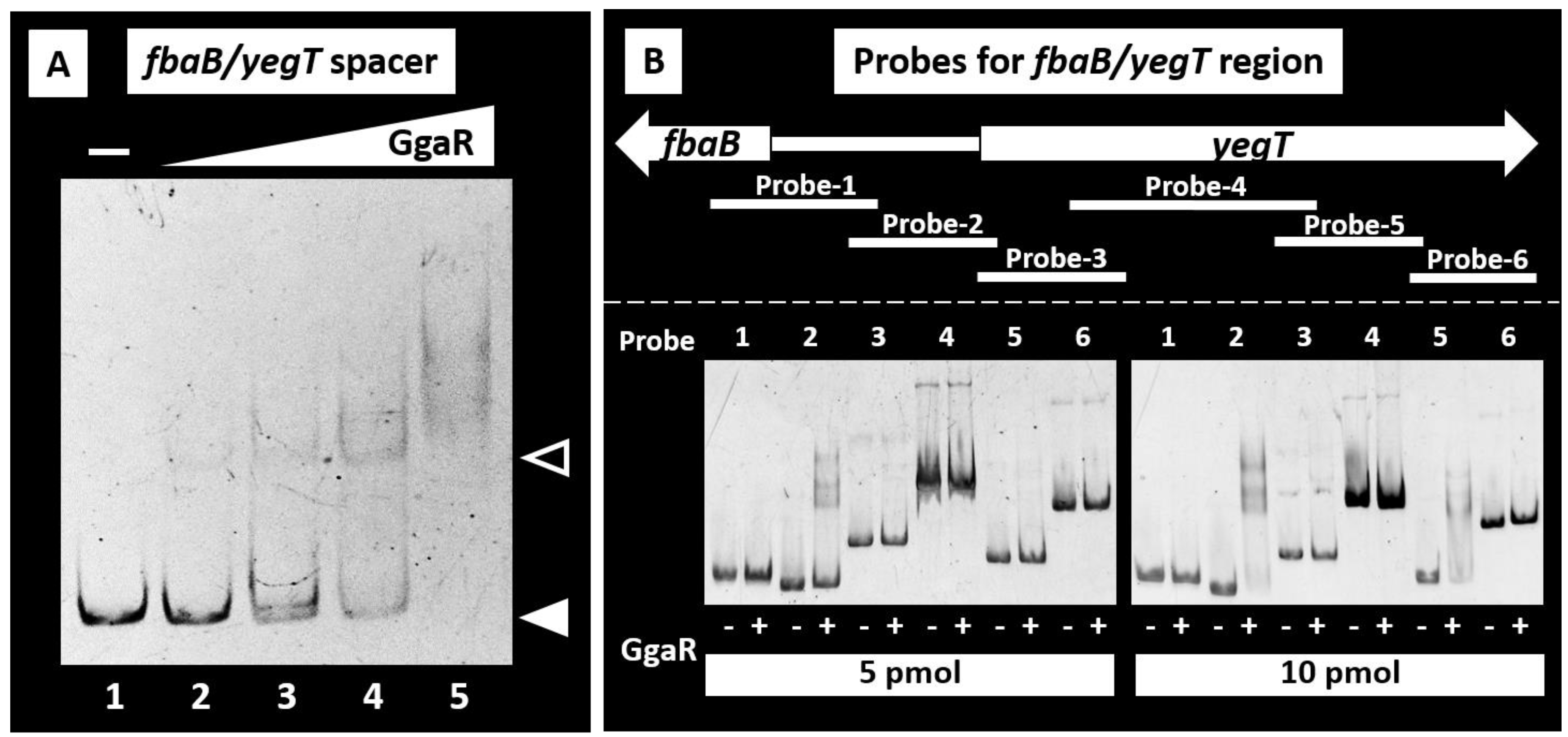 Microorganisms 12 00115 g002 Microorganisms 12 00115 g002