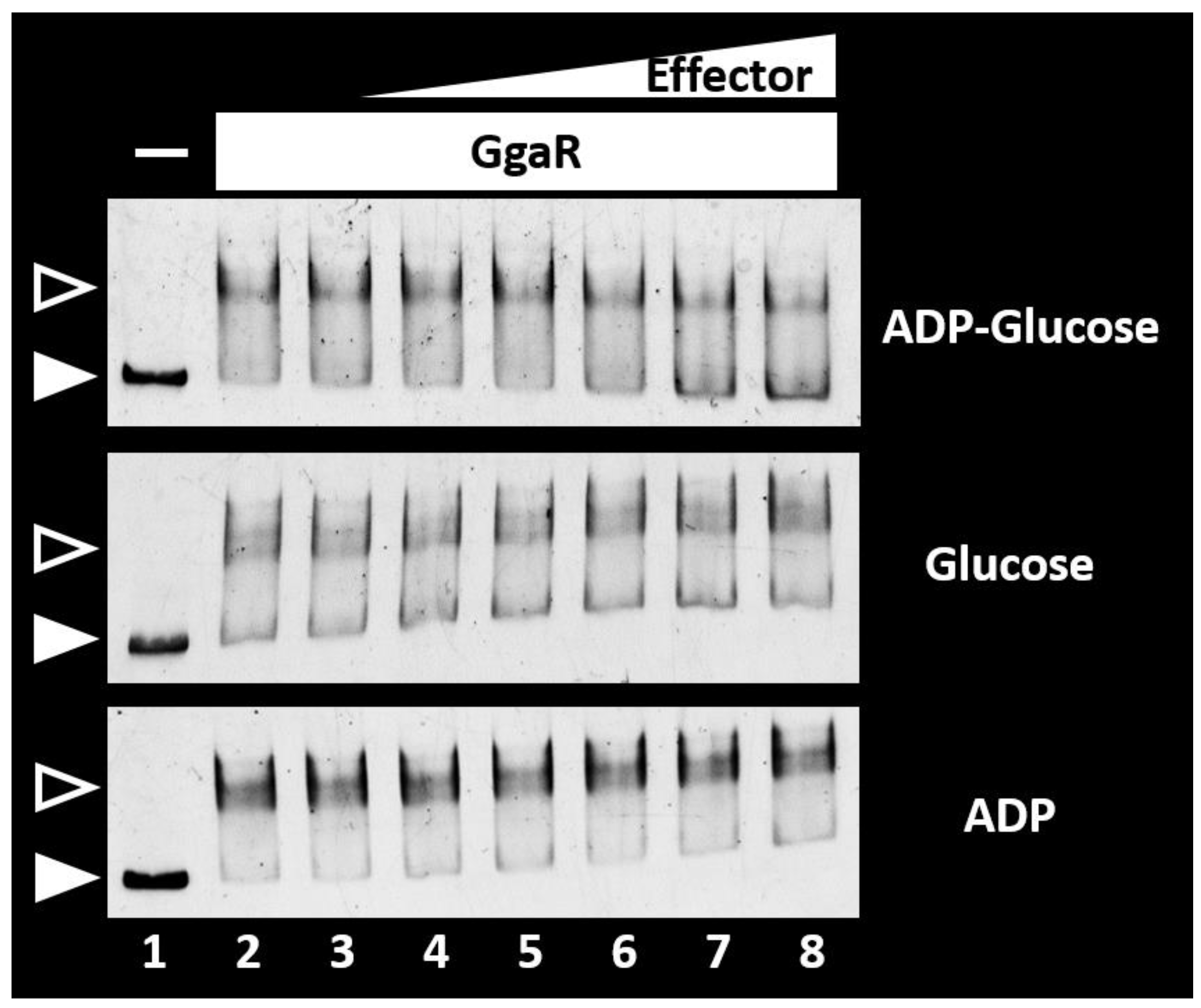 Microorganisms 12 00115 g006 Microorganisms 12 00115 g006