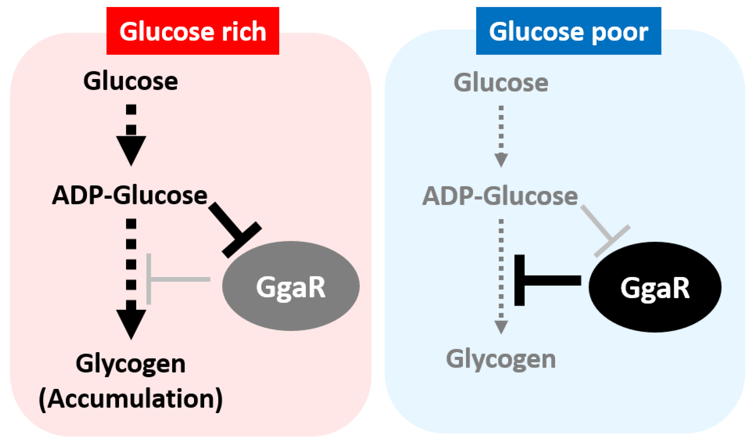 Microorganisms 12 00115 g010 Microorganisms 12 00115 g010