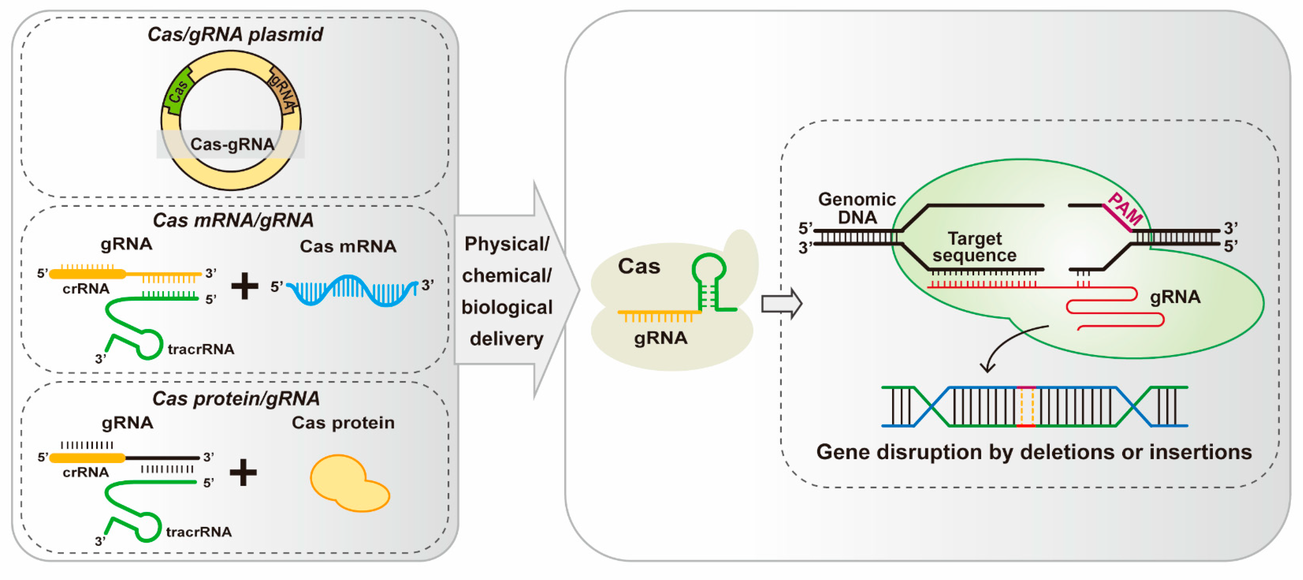 Microorganisms 12 00118 g002
