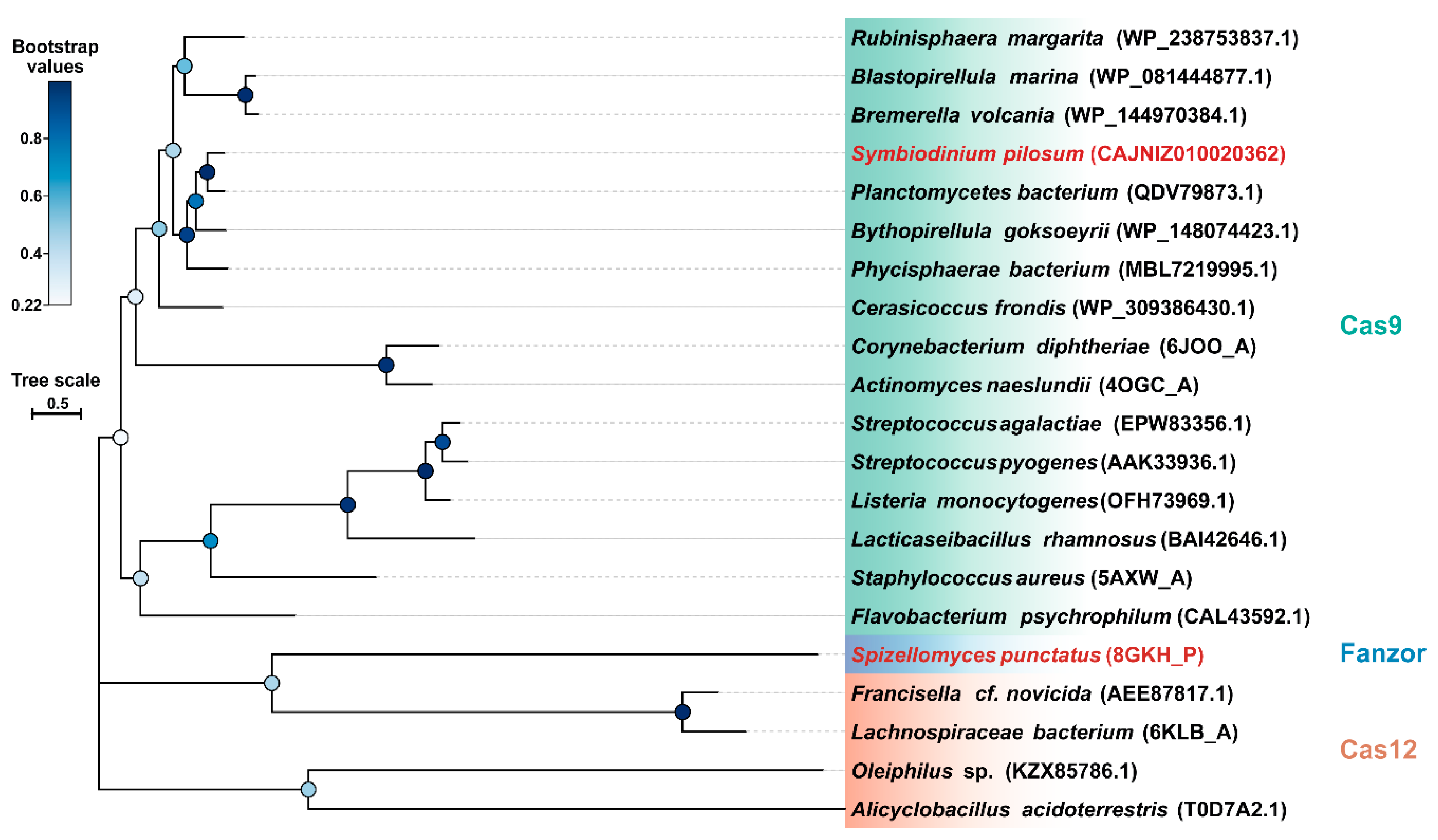 Microorganisms 12 00118 g003