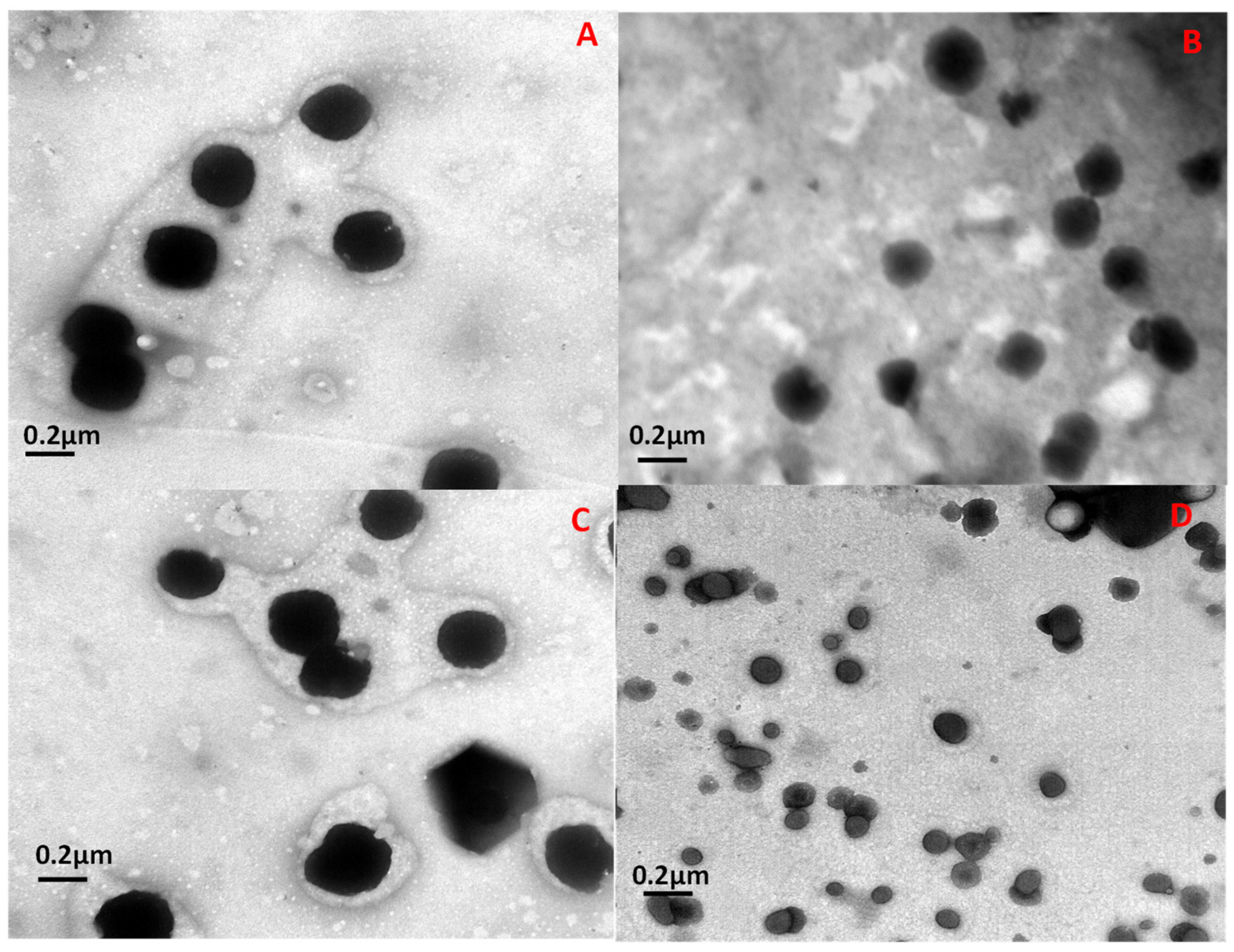 Microorganisms 12 00119 g003