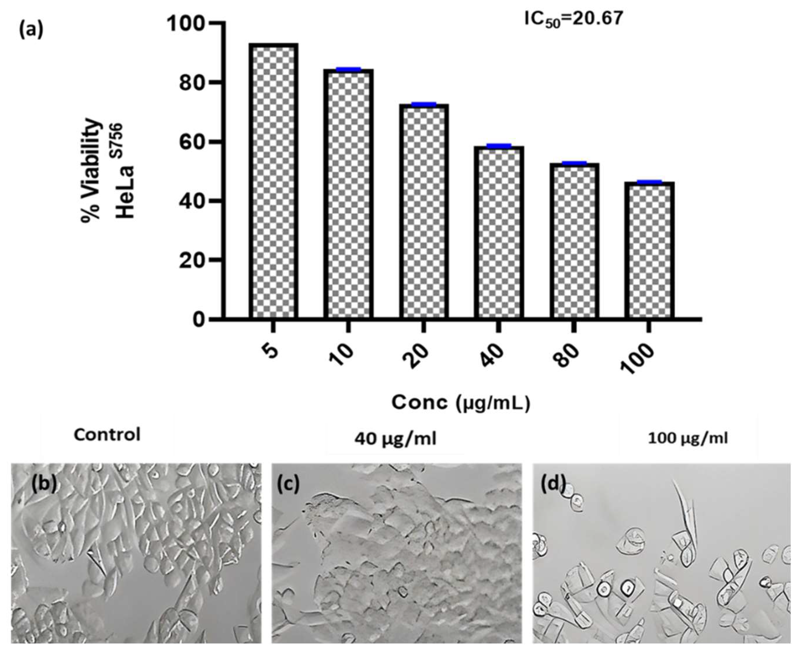 Microorganisms 12 00127 g003