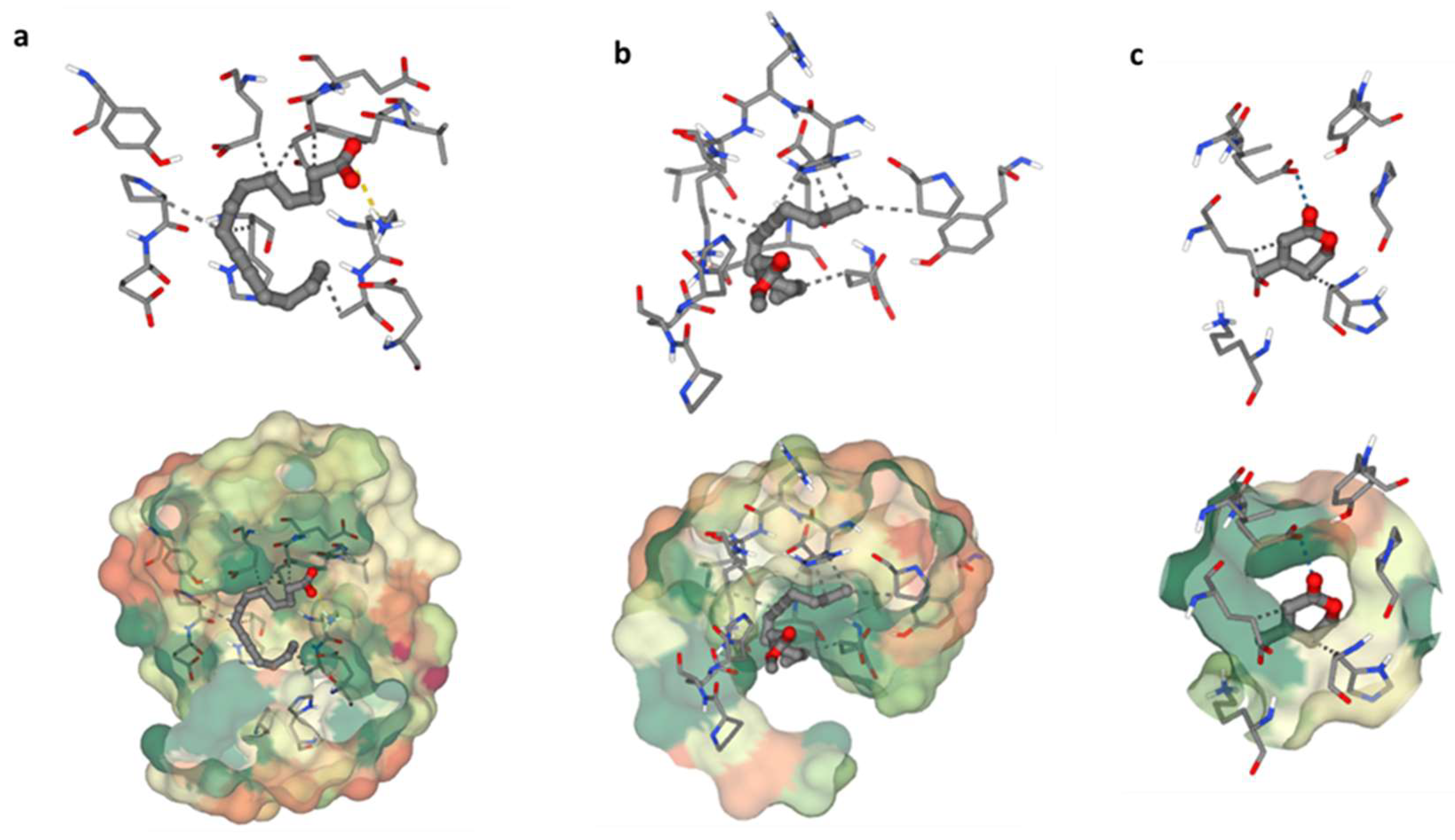 Microorganisms 12 00127 g006