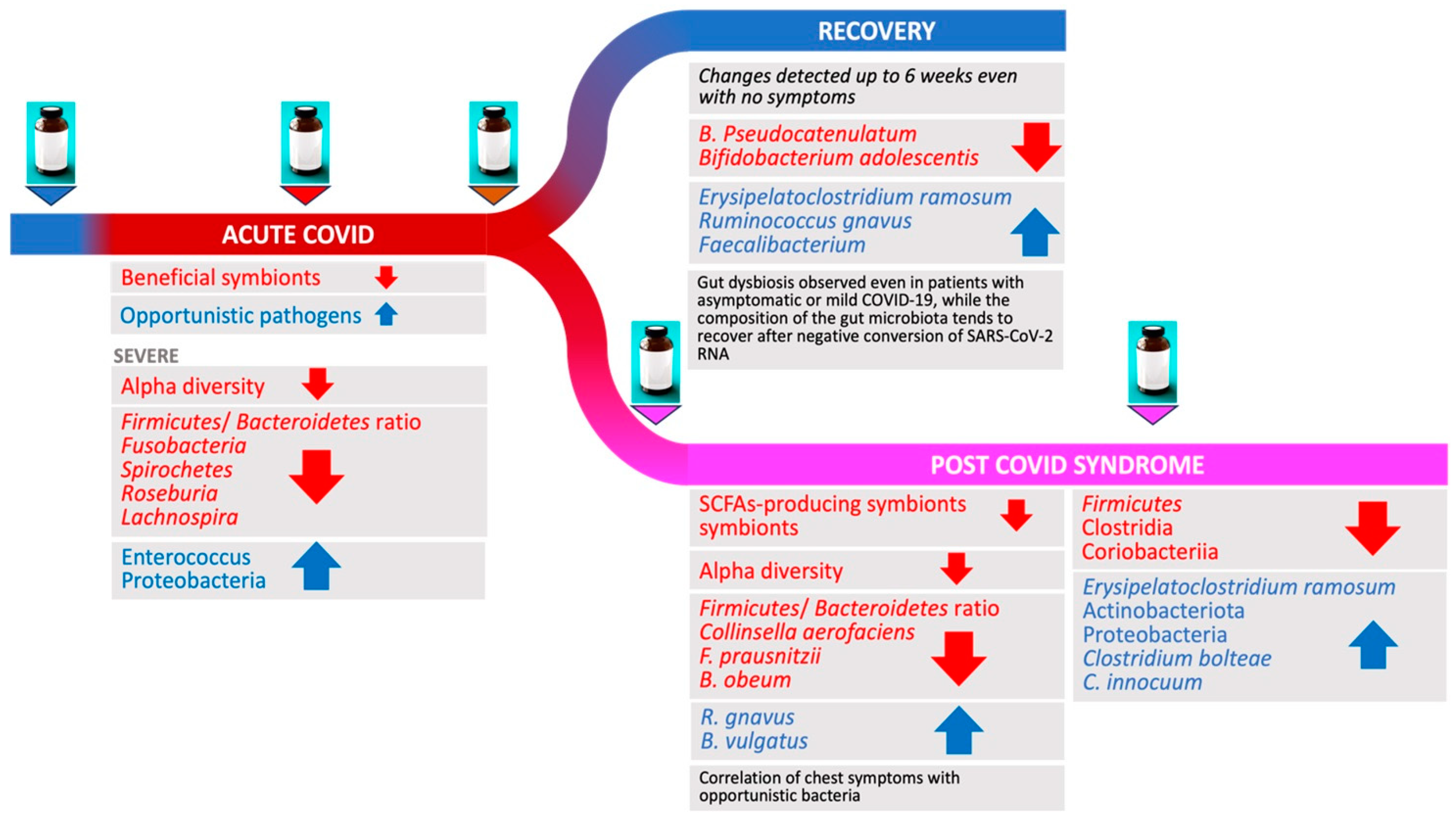 Microorganisms 12 00131 g005
