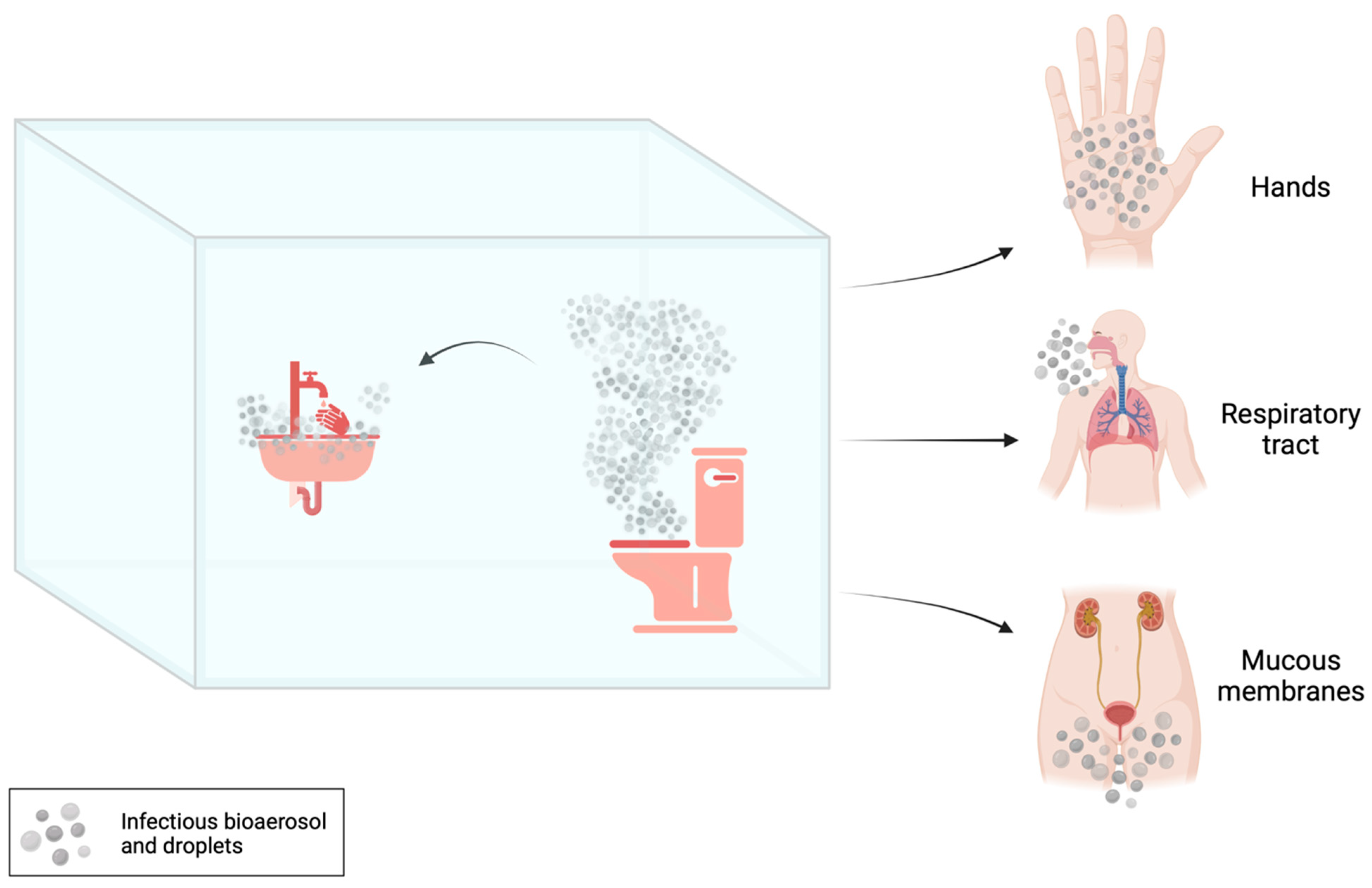 Microorganisms 12 00136 g001