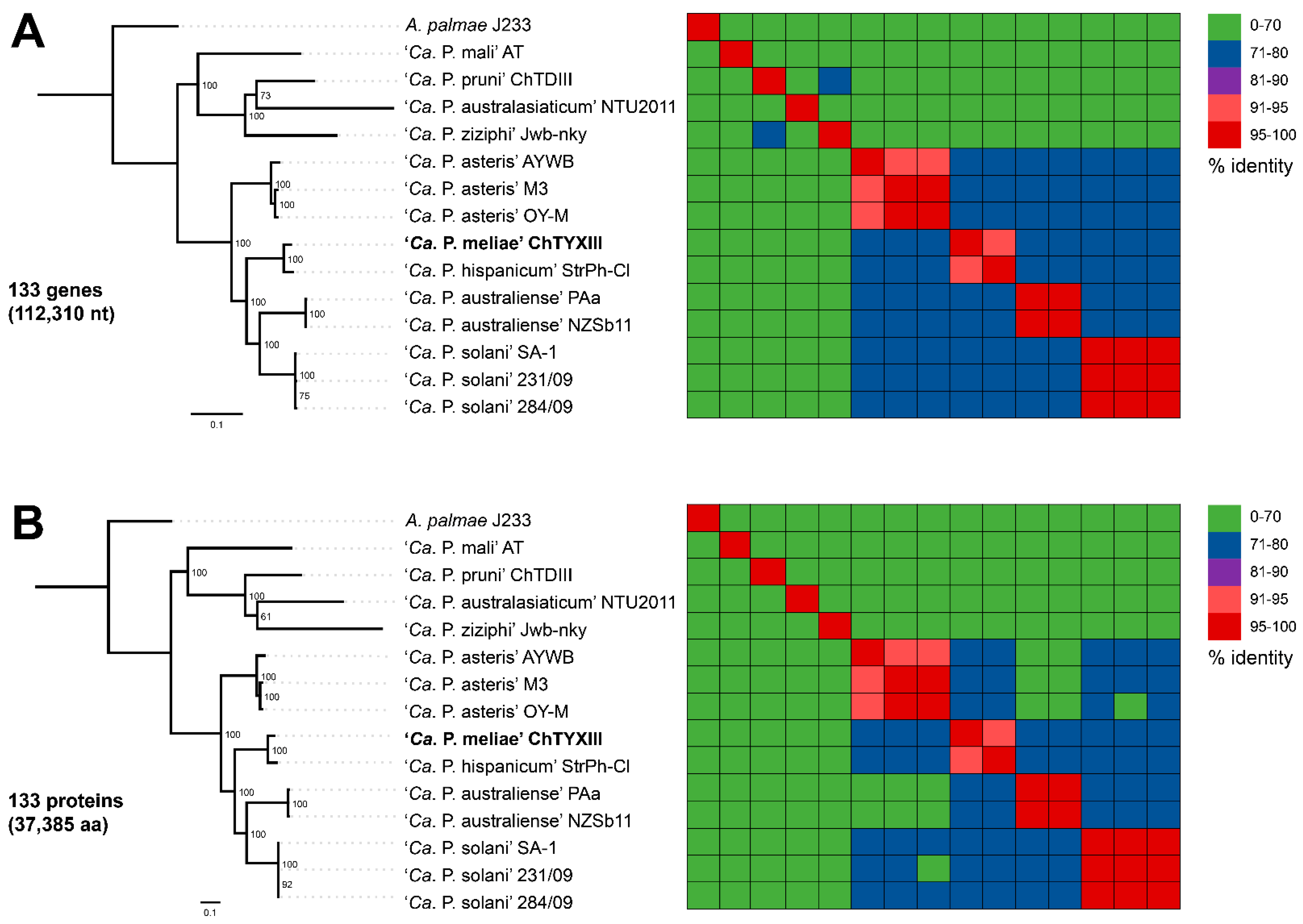 Microorganisms 12 00142 g006