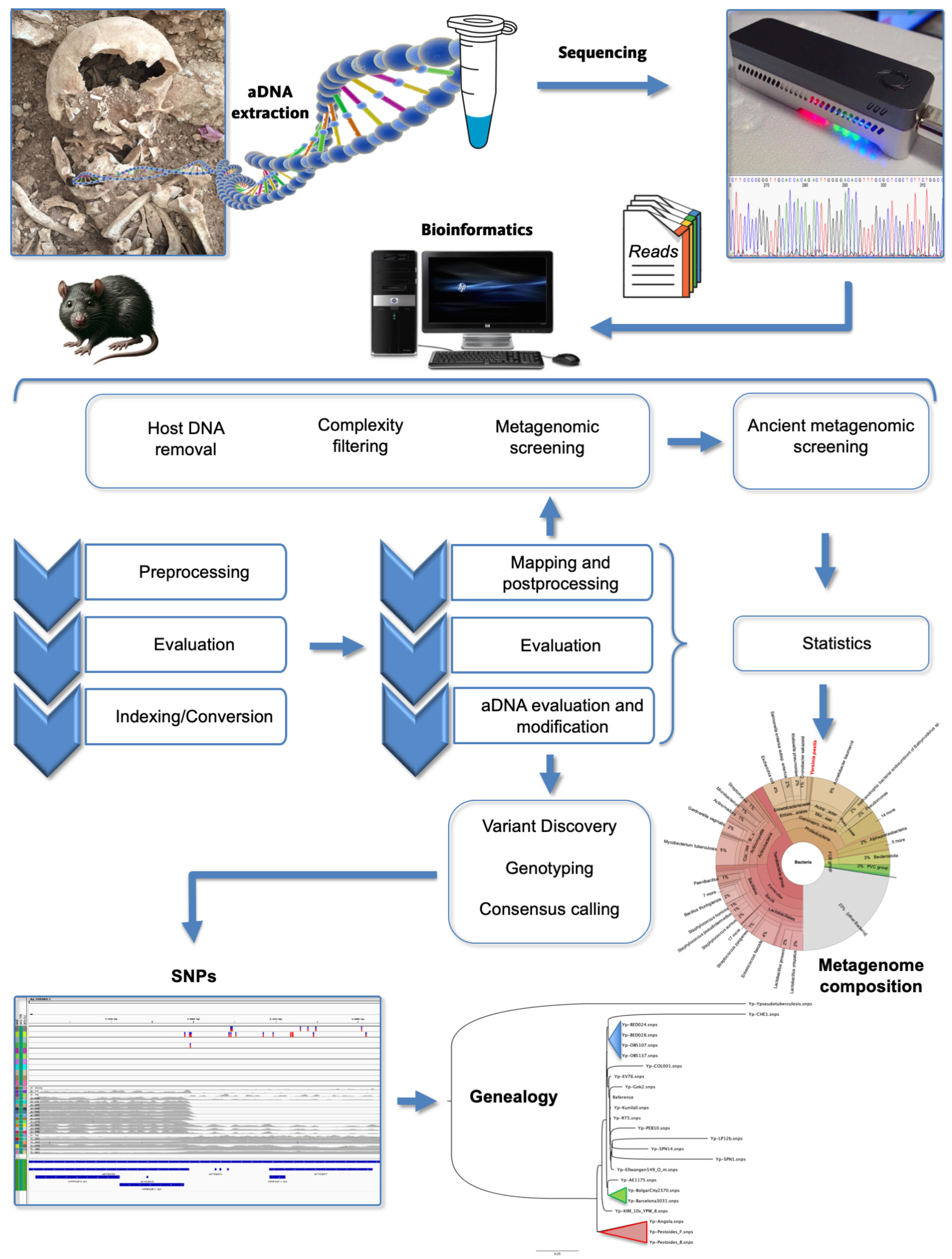 Microorganisms 12 00146 g002 Microorganisms 12 00146 g002