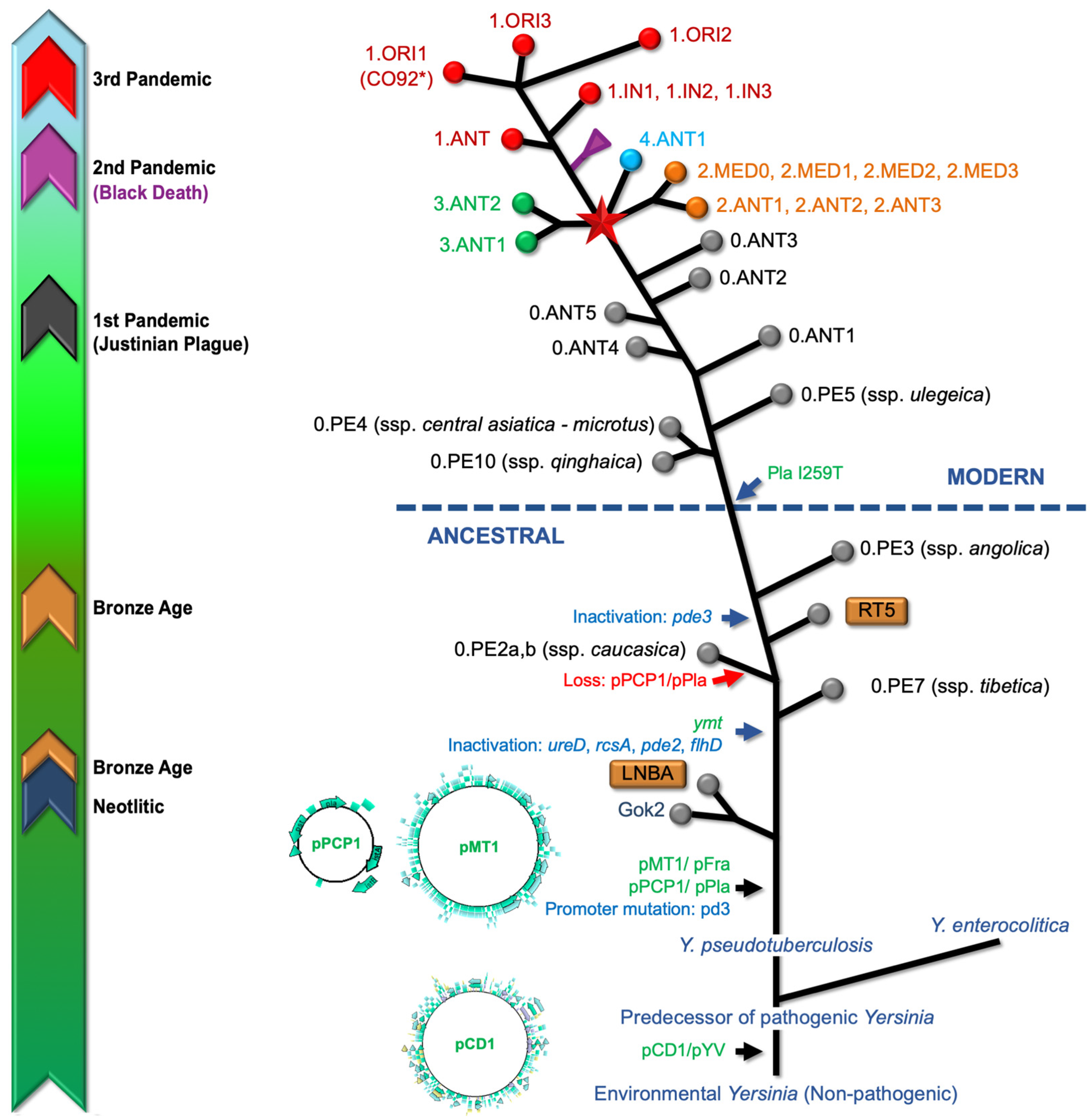 Microorganisms 12 00146 g003 Microorganisms 12 00146 g003