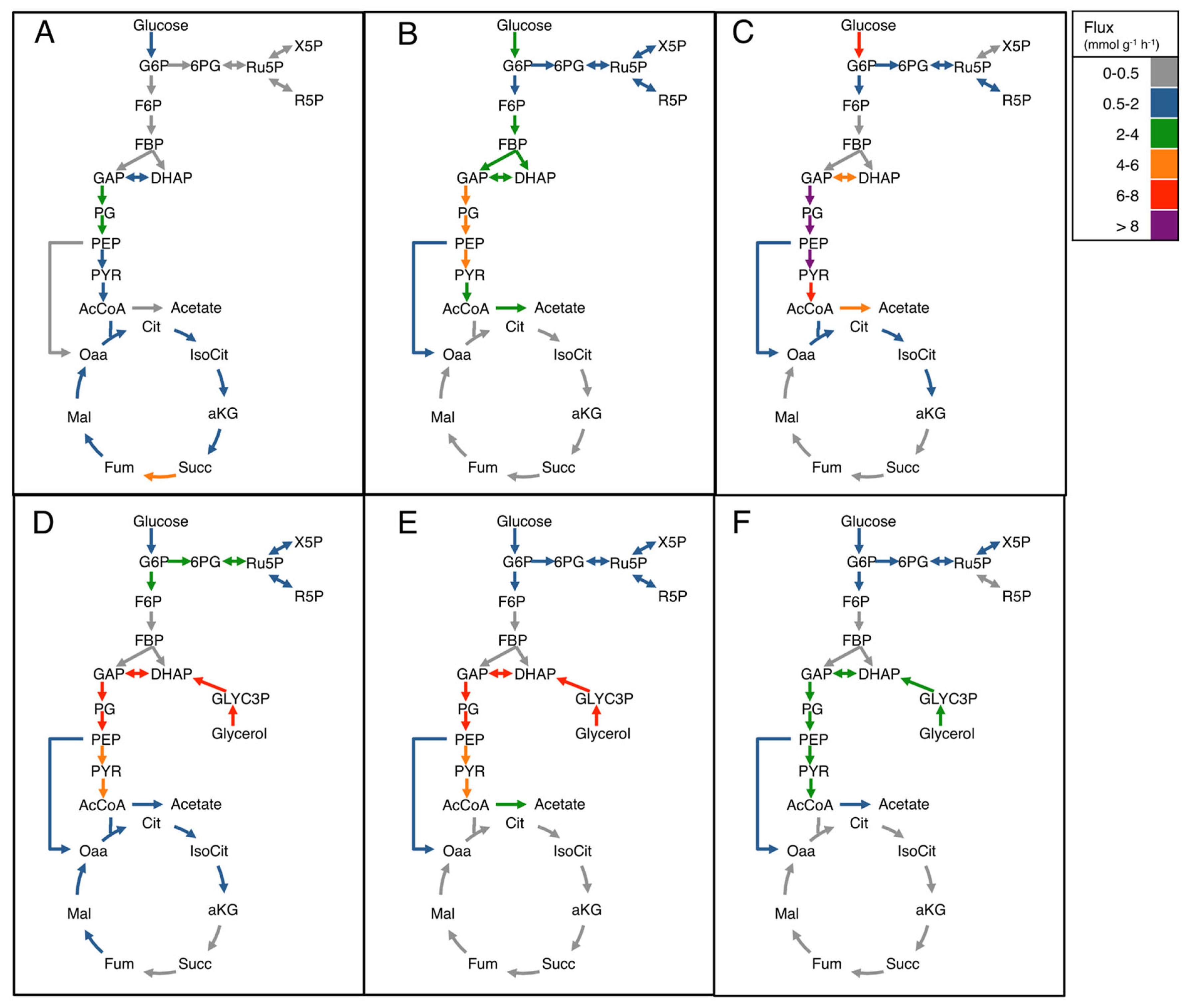 Microorganisms 12 00150 g004 Microorganisms 12 00150 g004