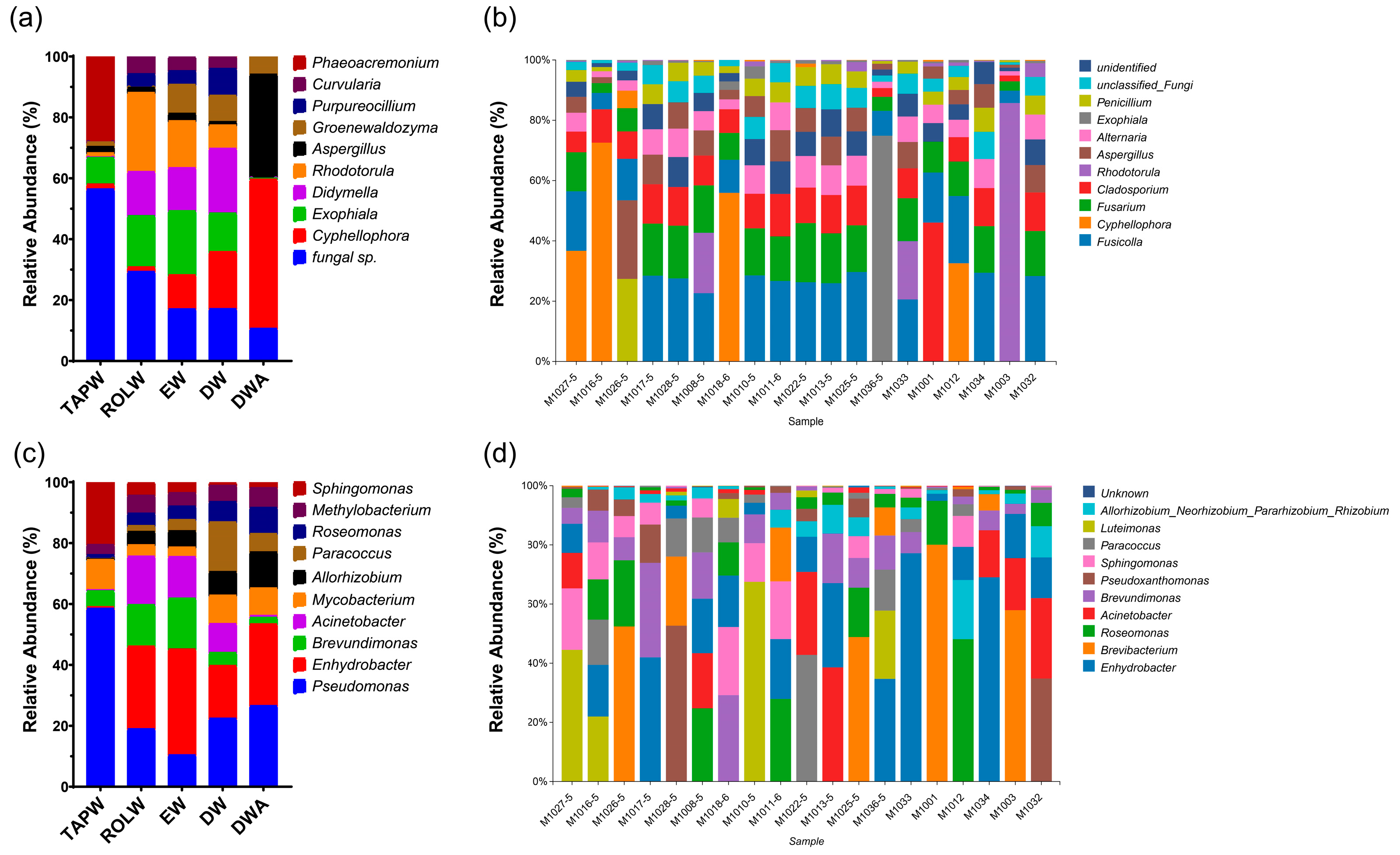 Microorganisms 12 00160 g001