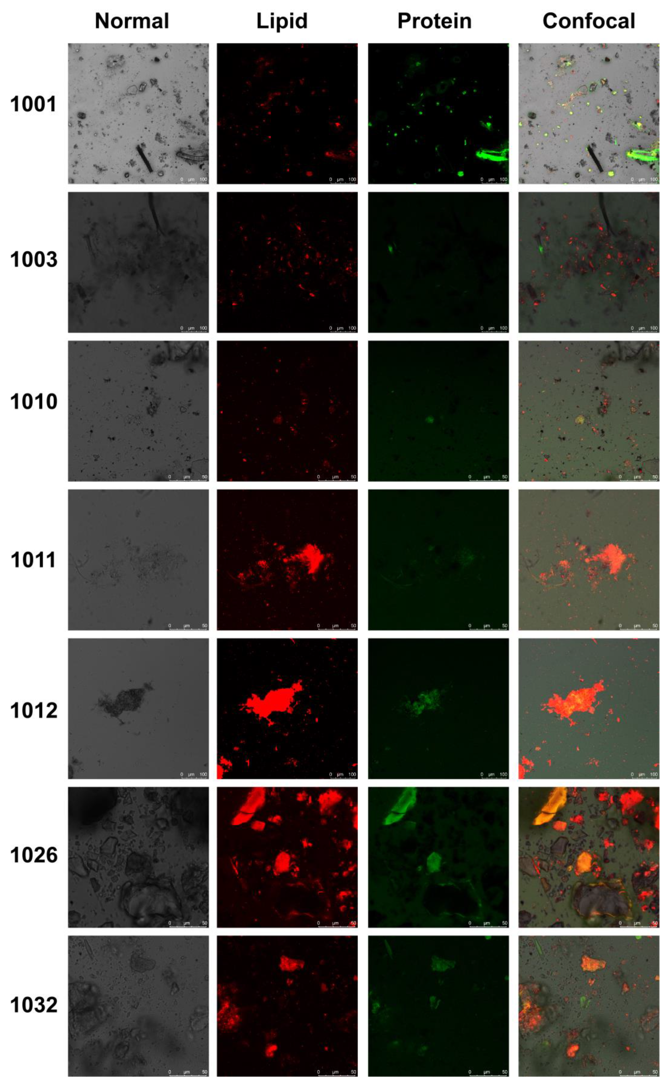 Microorganisms 12 00160 g004