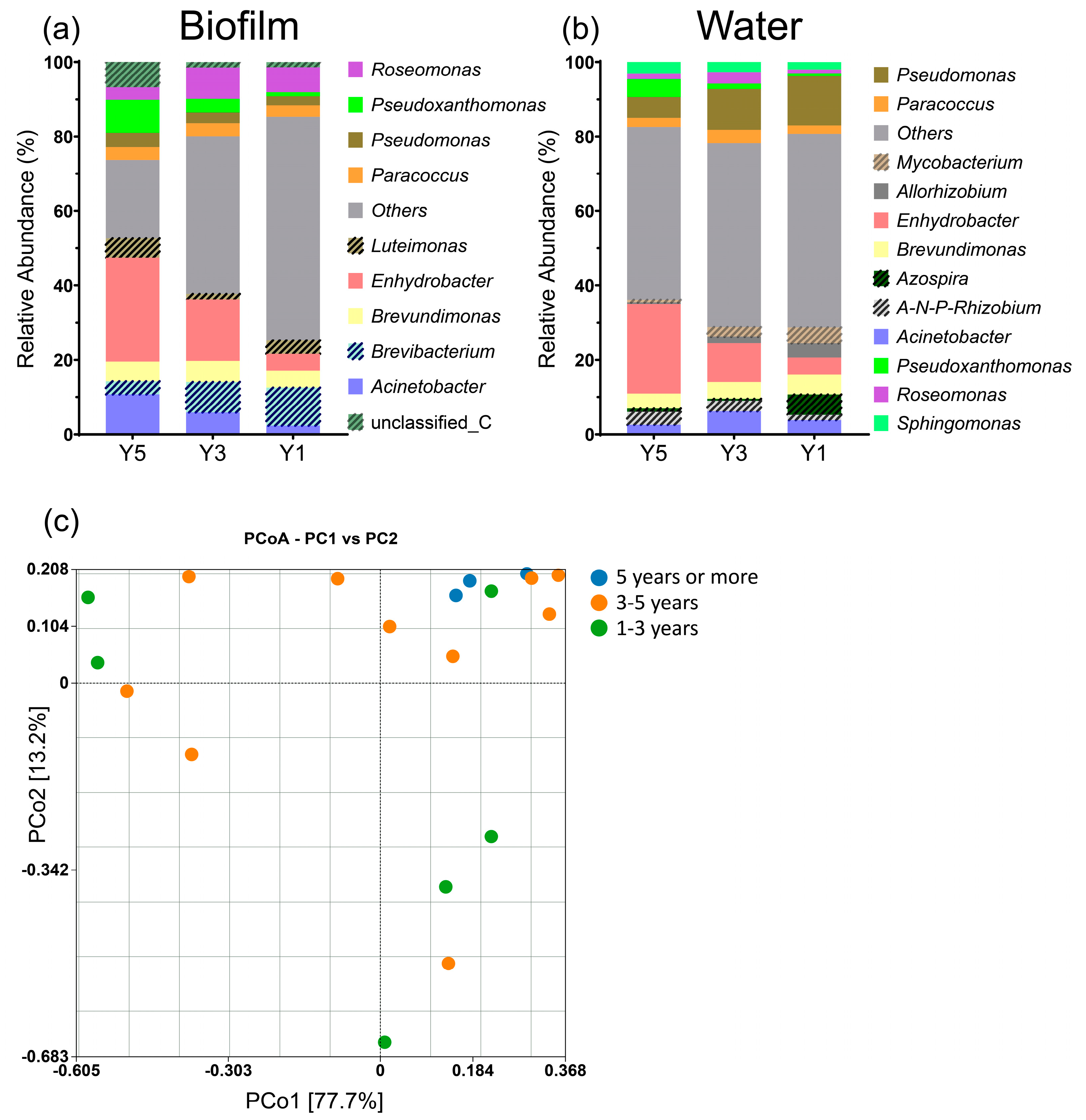 Microorganisms 12 00160 g005