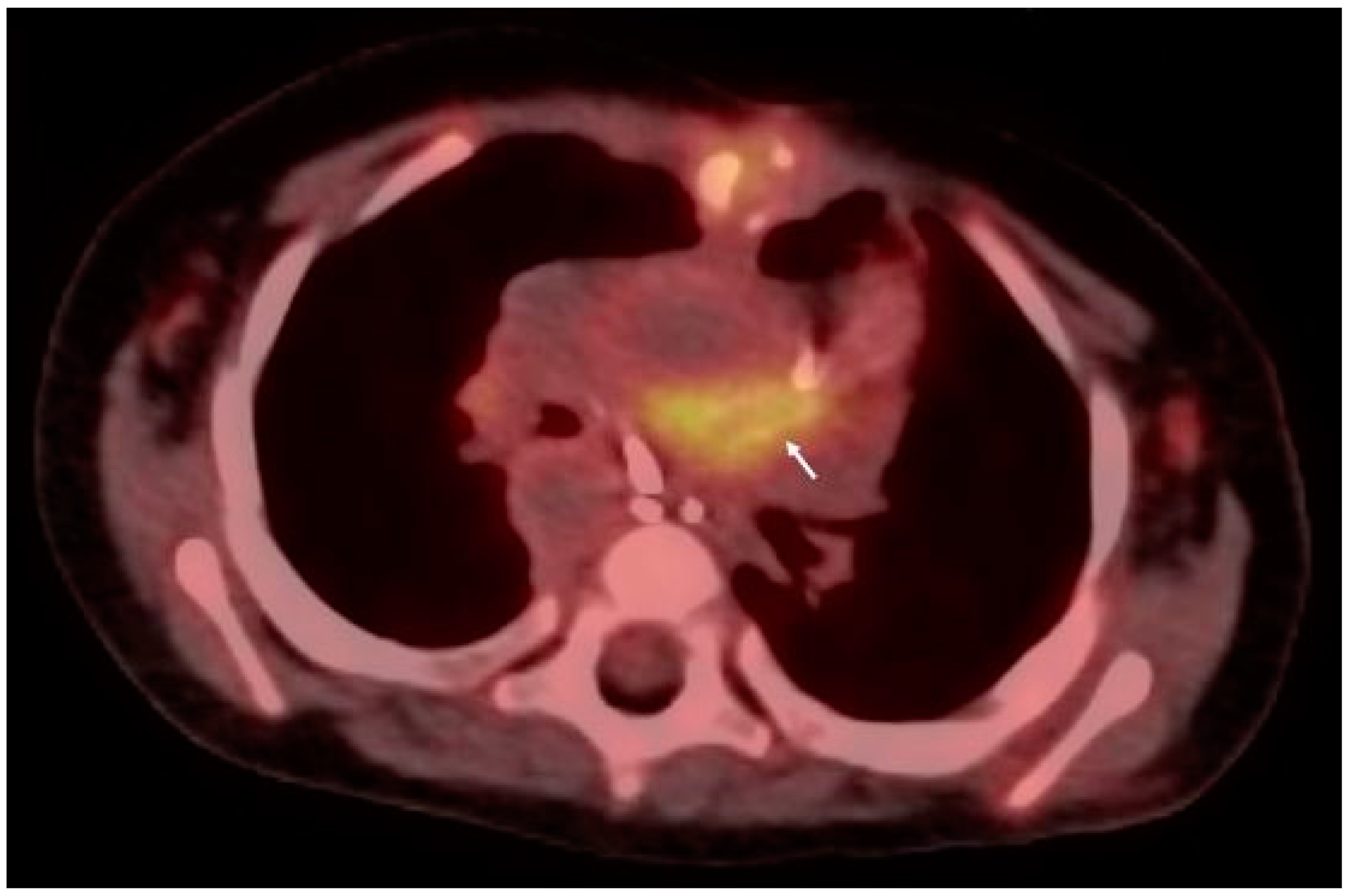 Microorganisms 12 00164 g003 Microorganisms 12 00164 g003