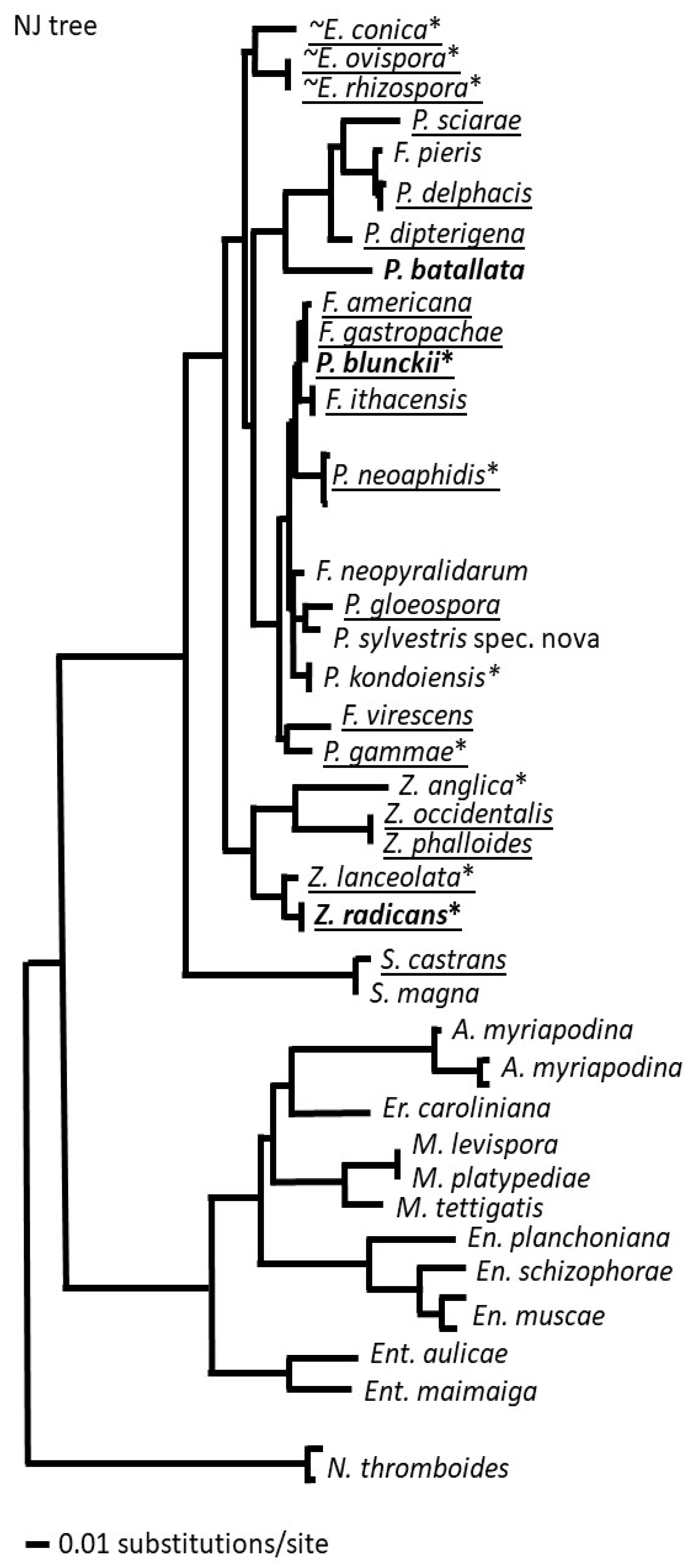 Microorganisms 12 00168 g003