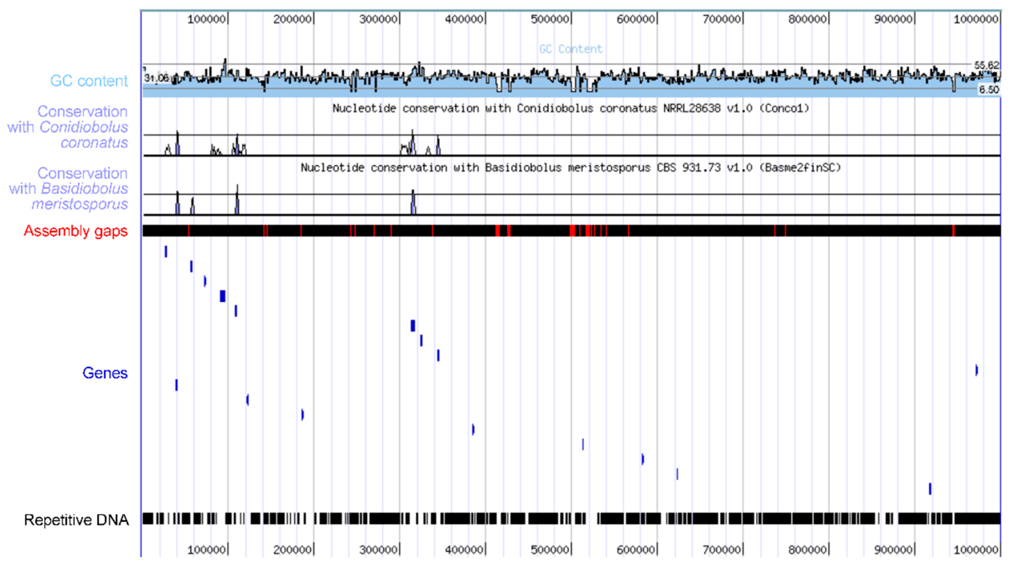 Microorganisms 12 00168 g005