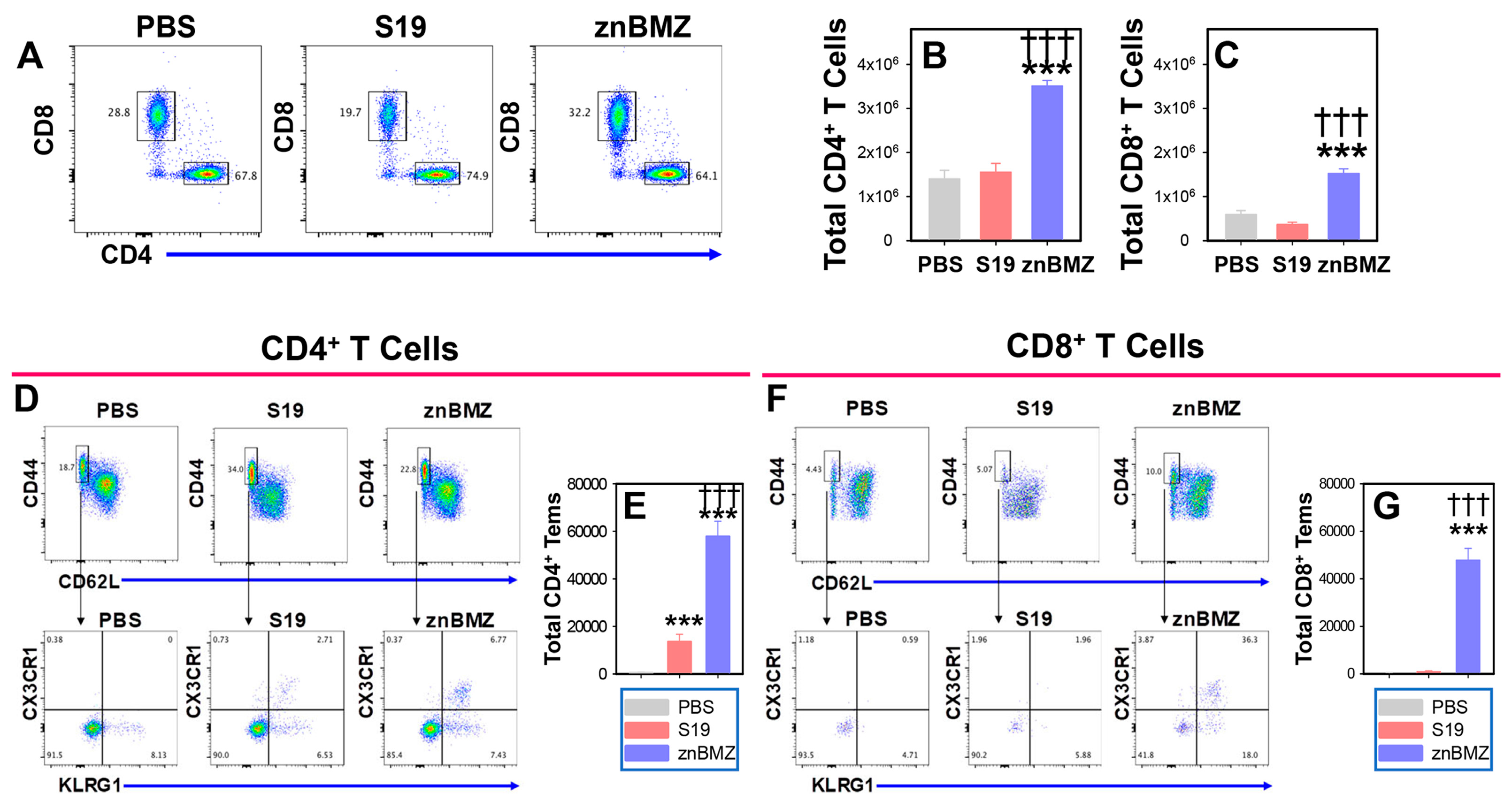 Microorganisms 12 00169 g004 Microorganisms 12 00169 g004