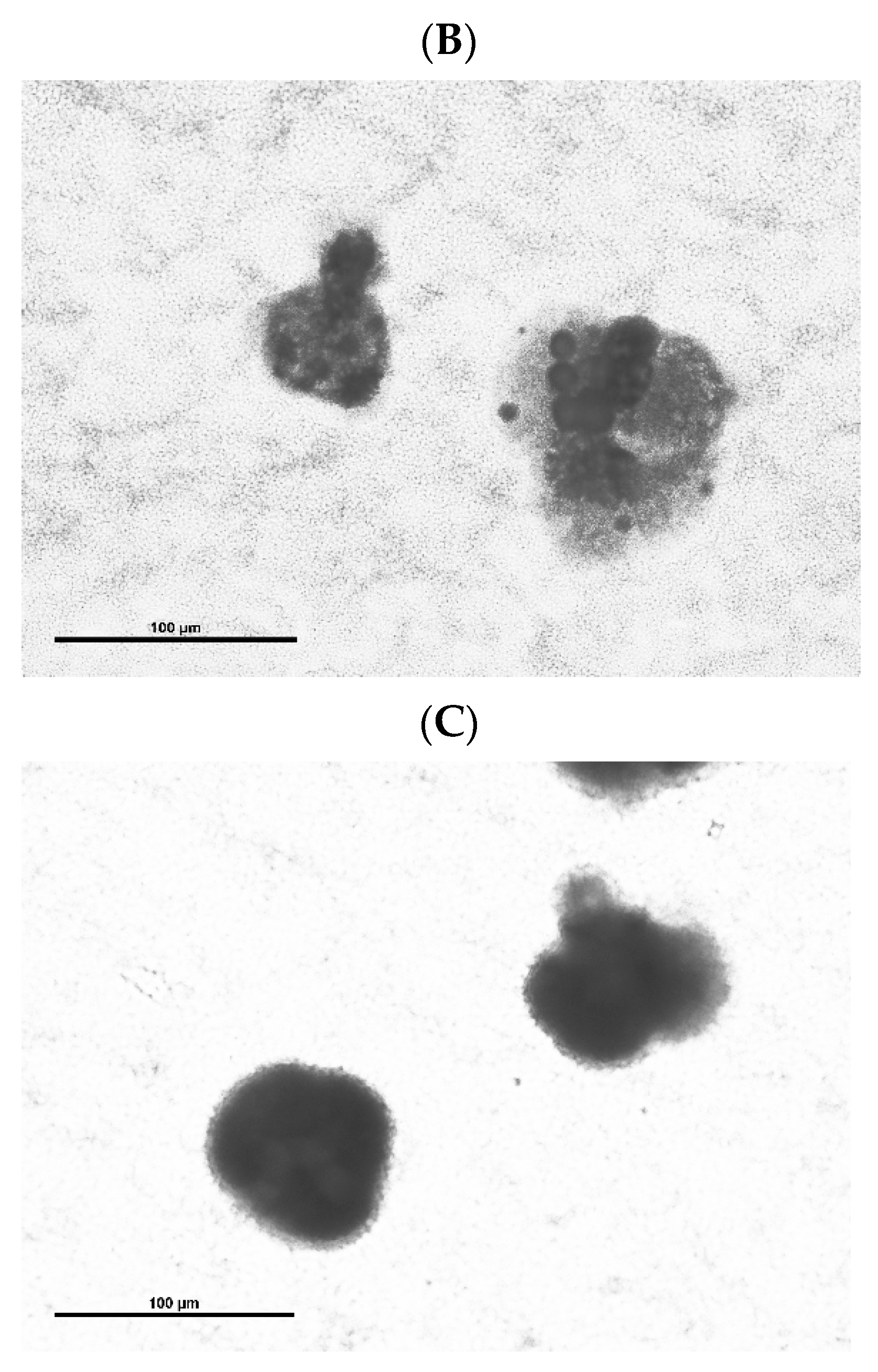 Microorganisms 12 00177 g002b