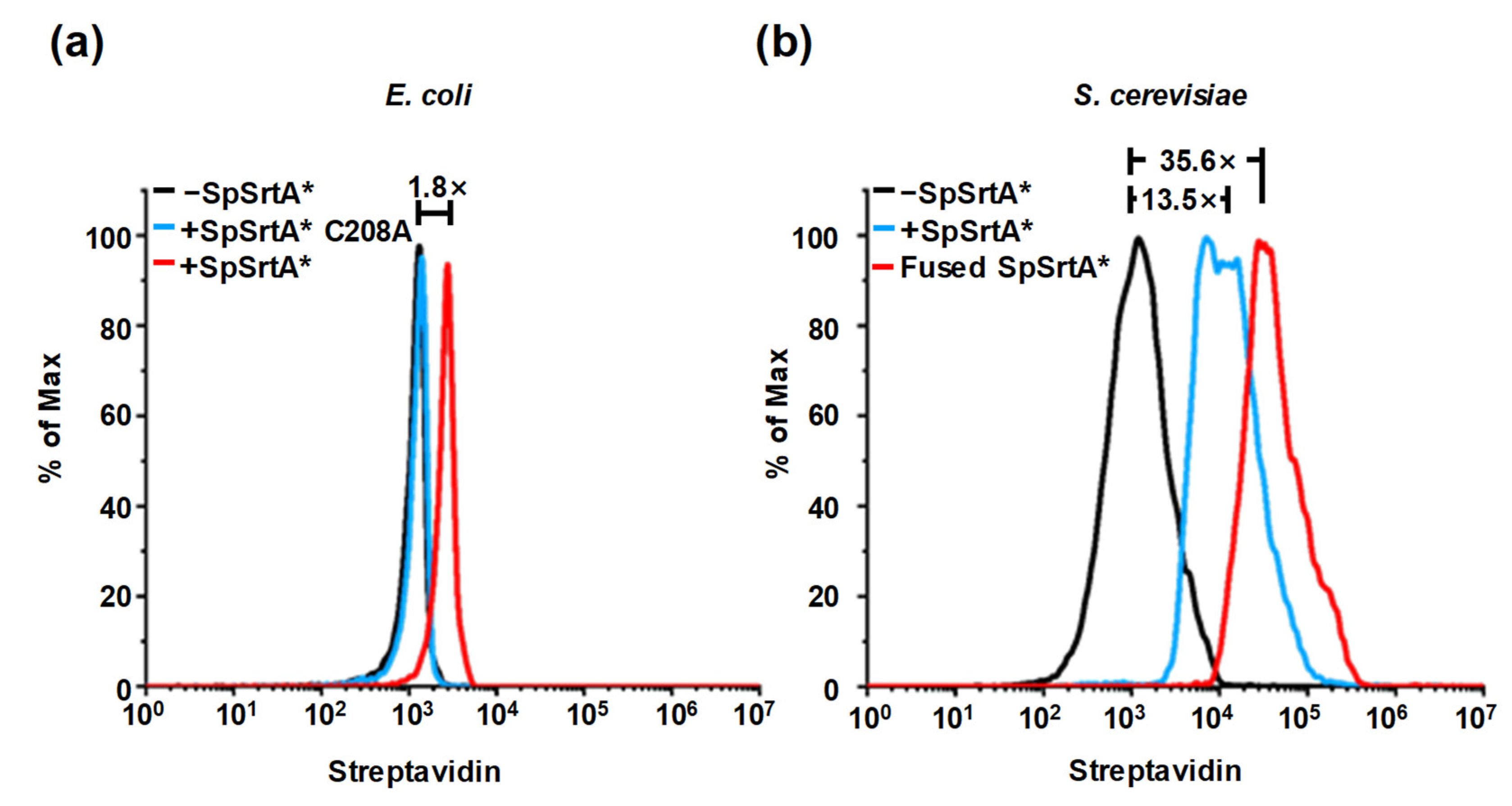 Microorganisms 12 00179 g005