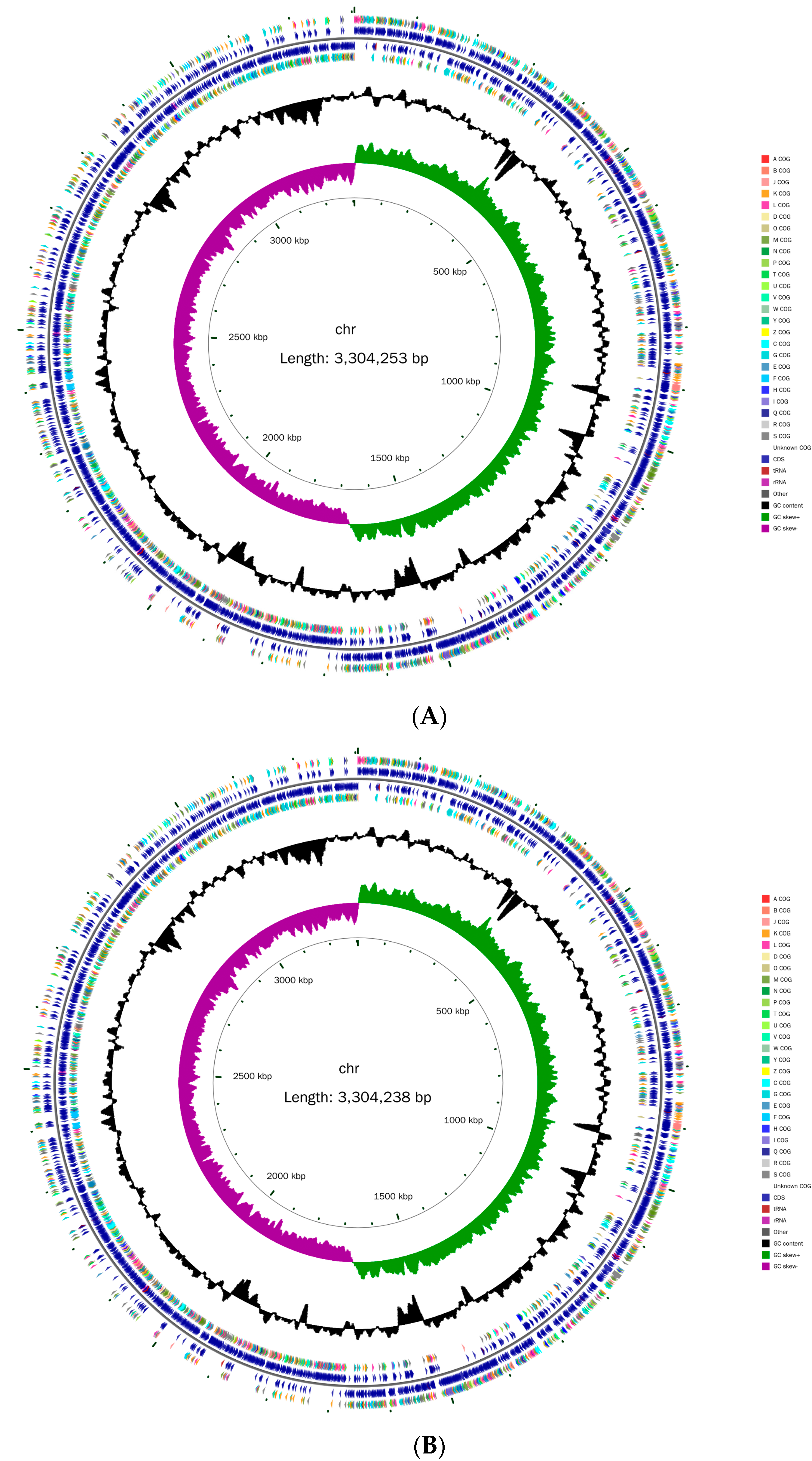 Microorganisms 12 00181 g001