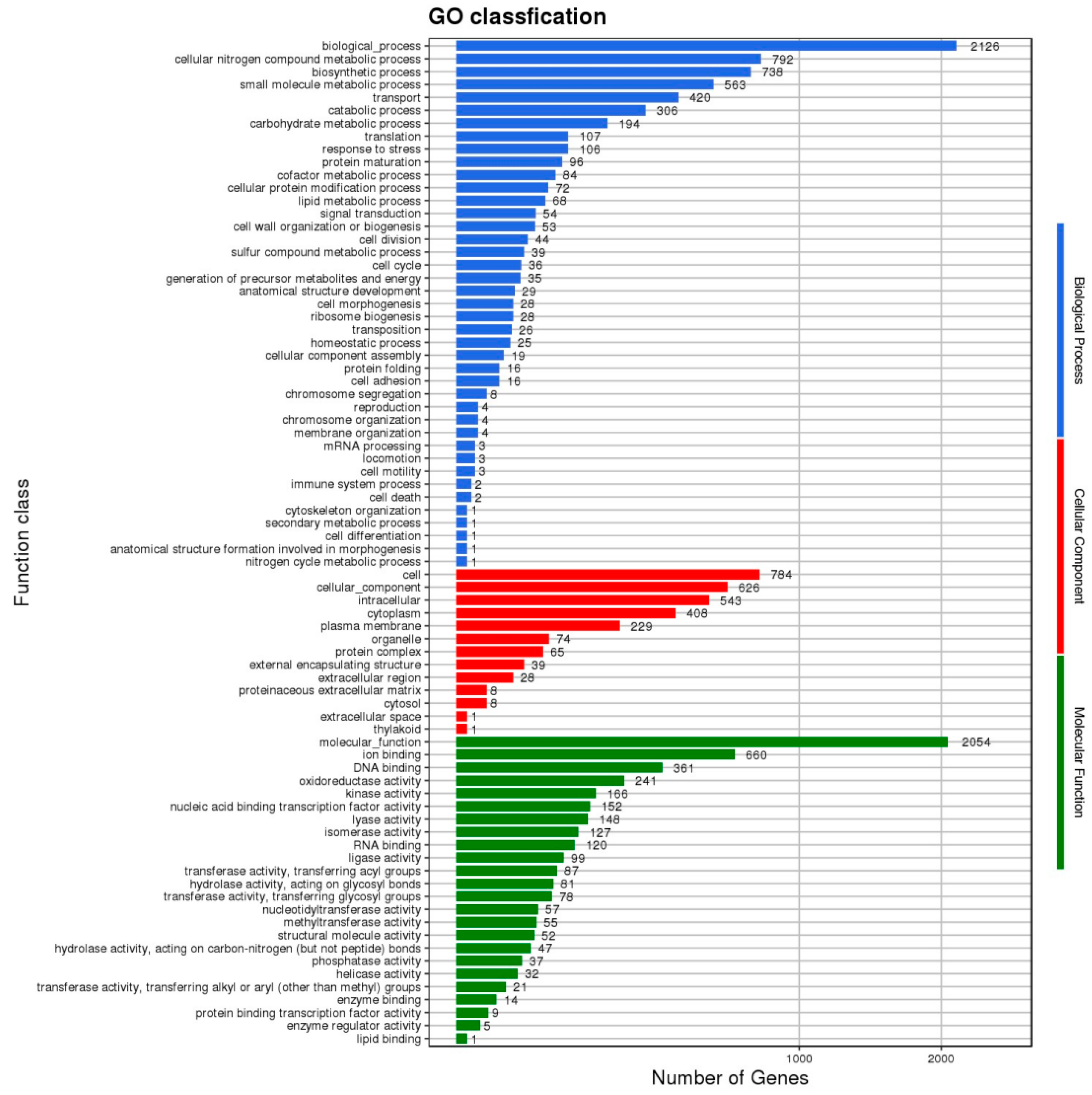 Microorganisms 12 00181 g004