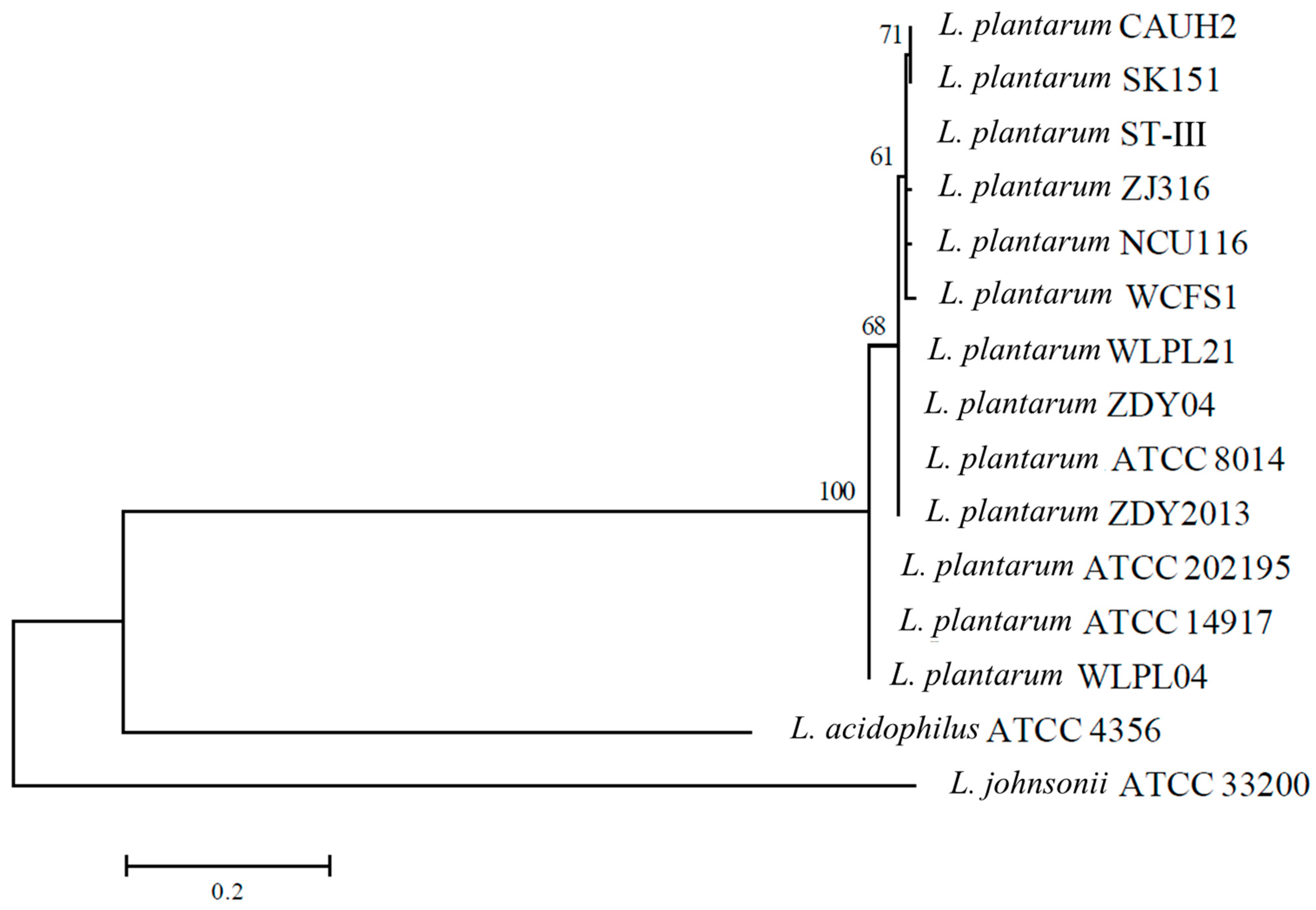 Microorganisms 12 00181 g006