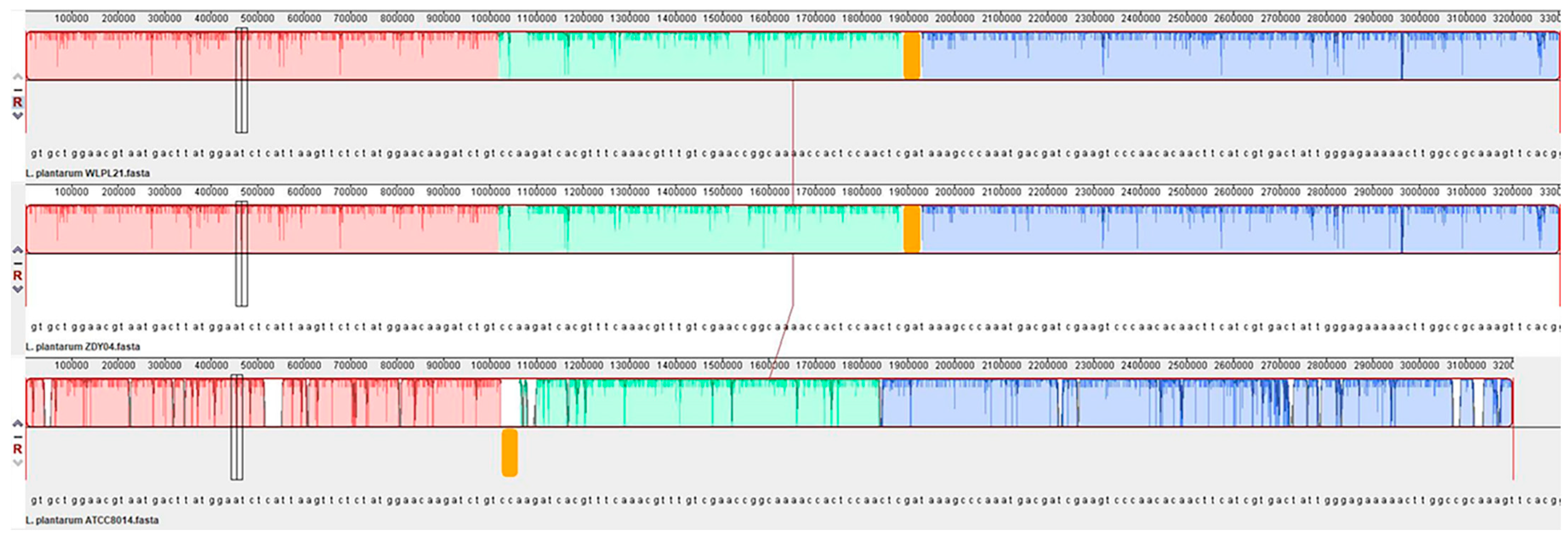 Microorganisms 12 00181 g007