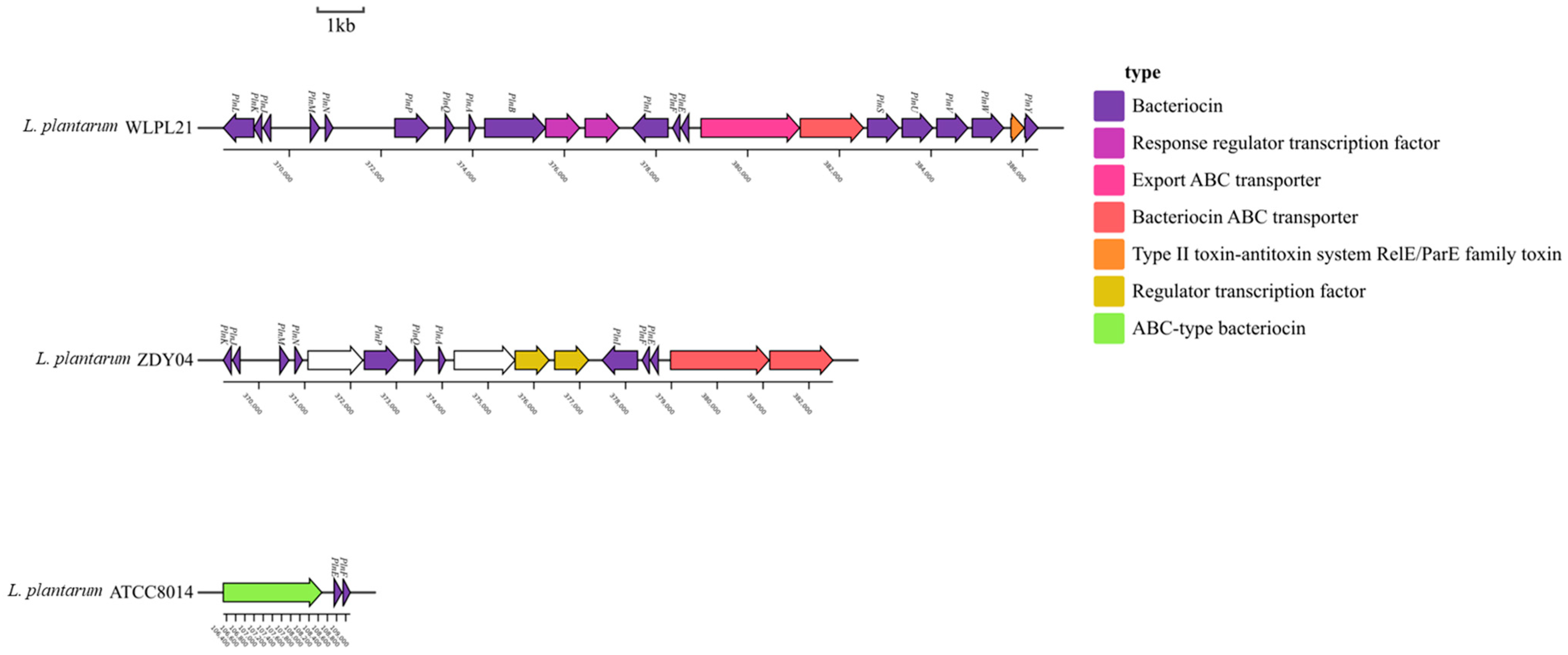 Microorganisms 12 00181 g008