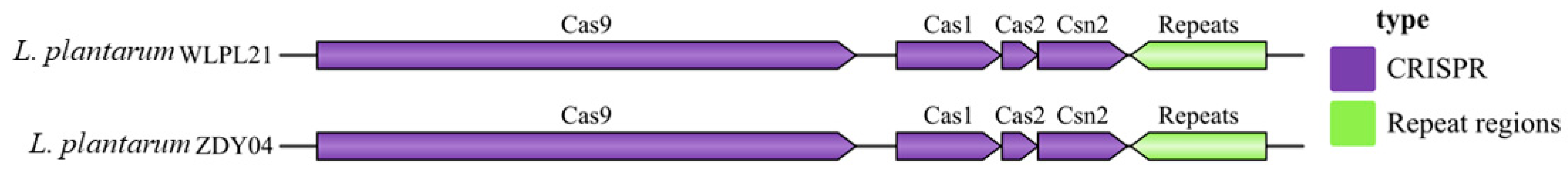 Microorganisms 12 00181 g009