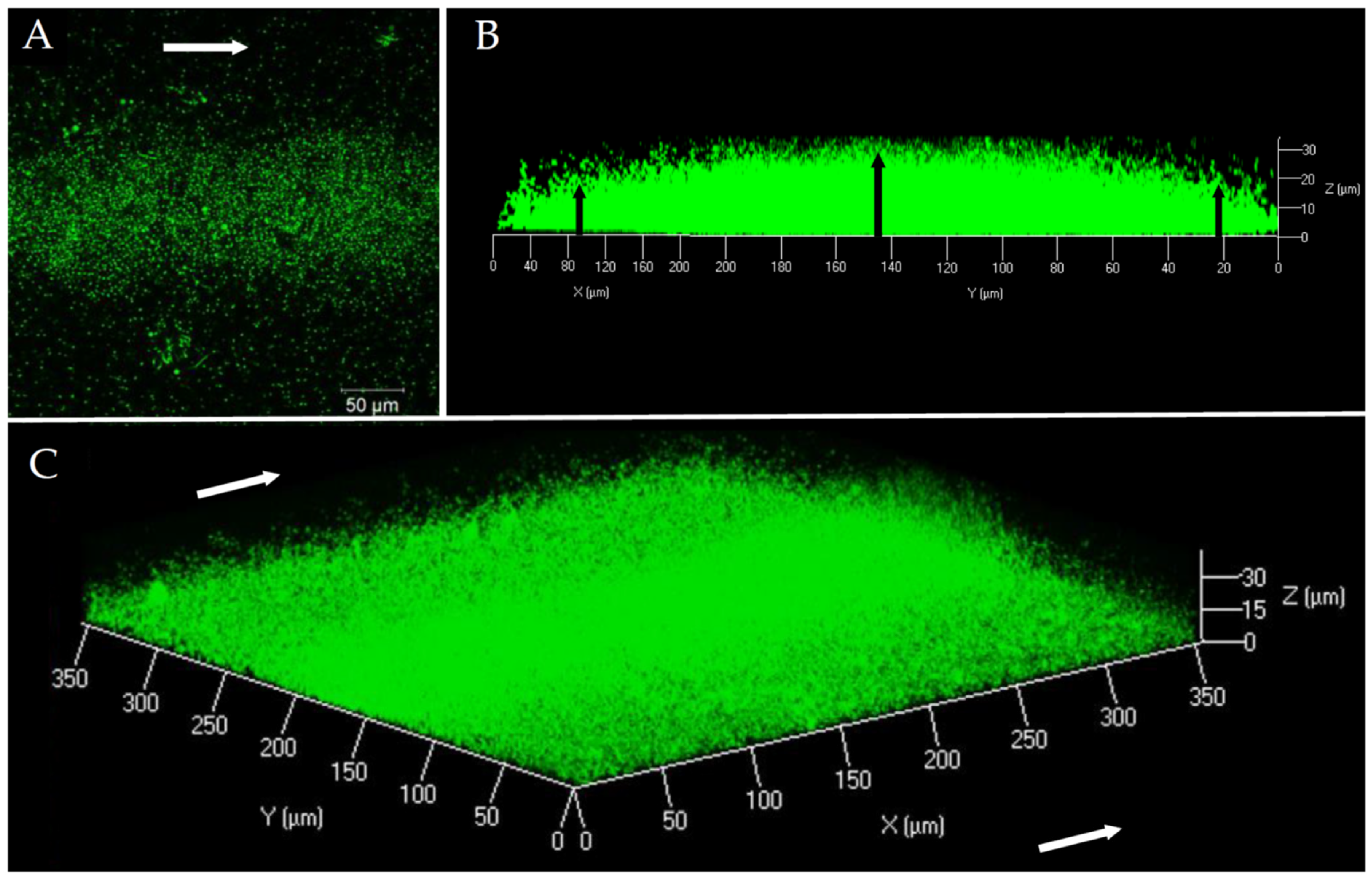 Microorganisms 12 00186 g001