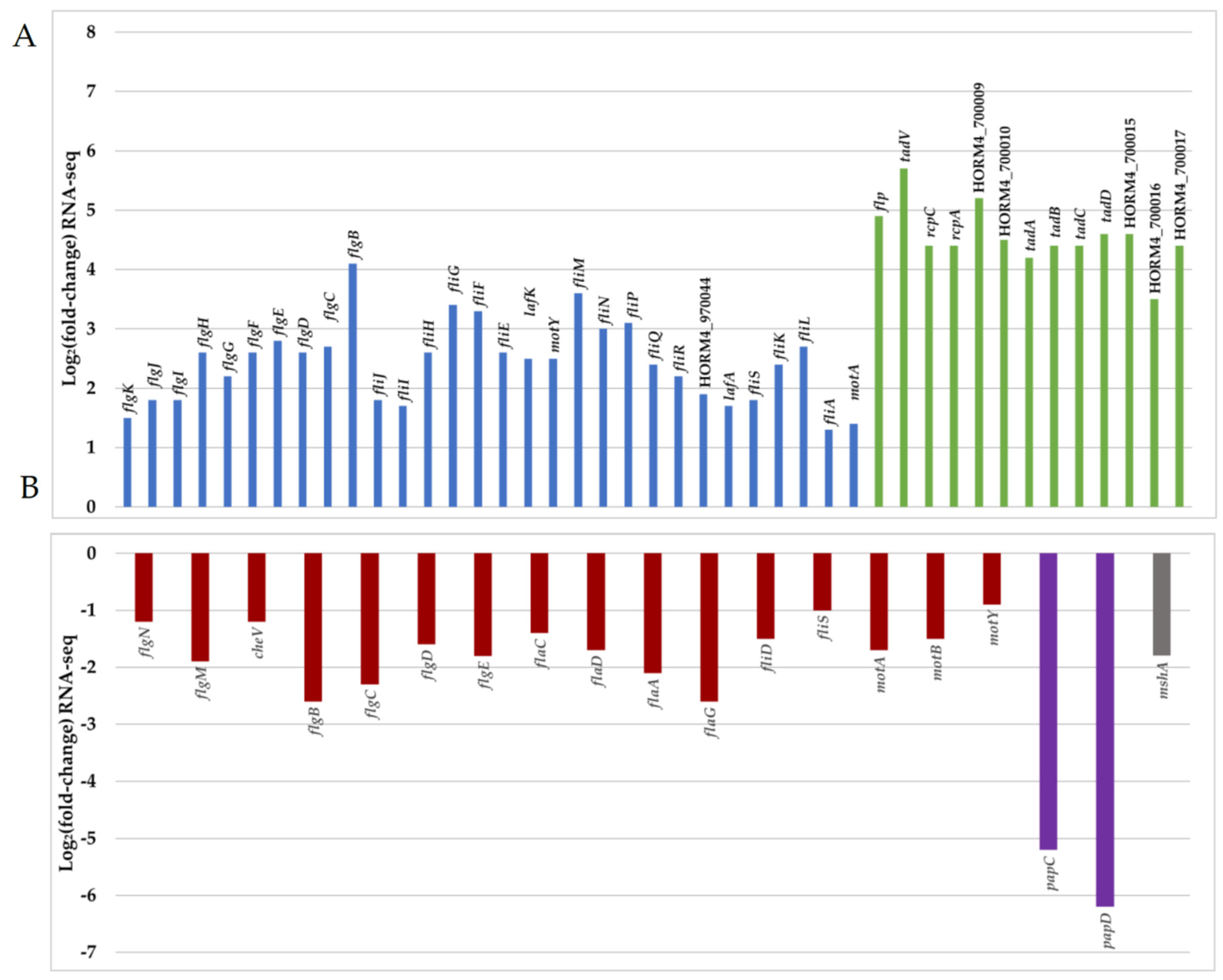 Microorganisms 12 00186 g005