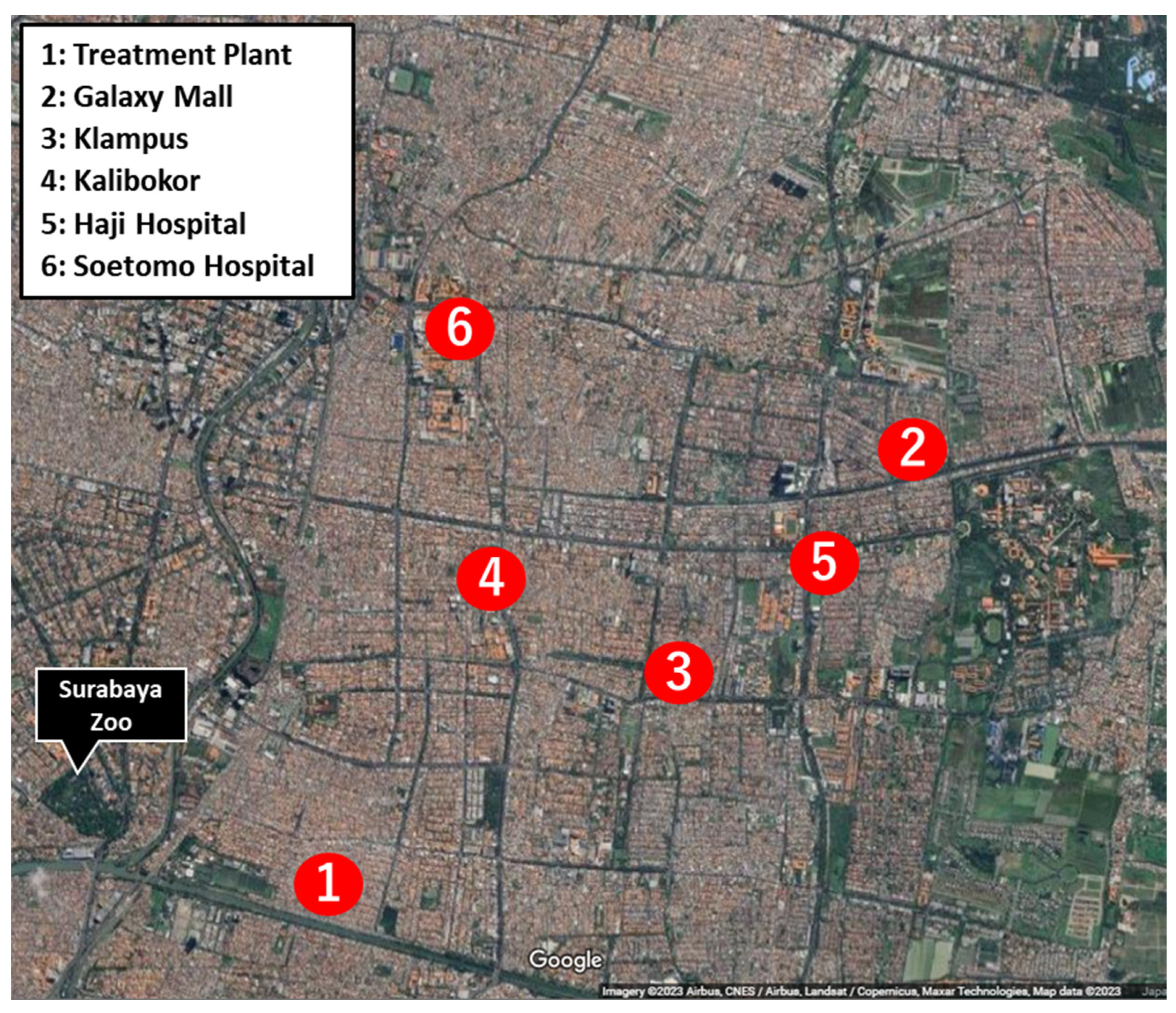 Microorganisms 12 00199 g001