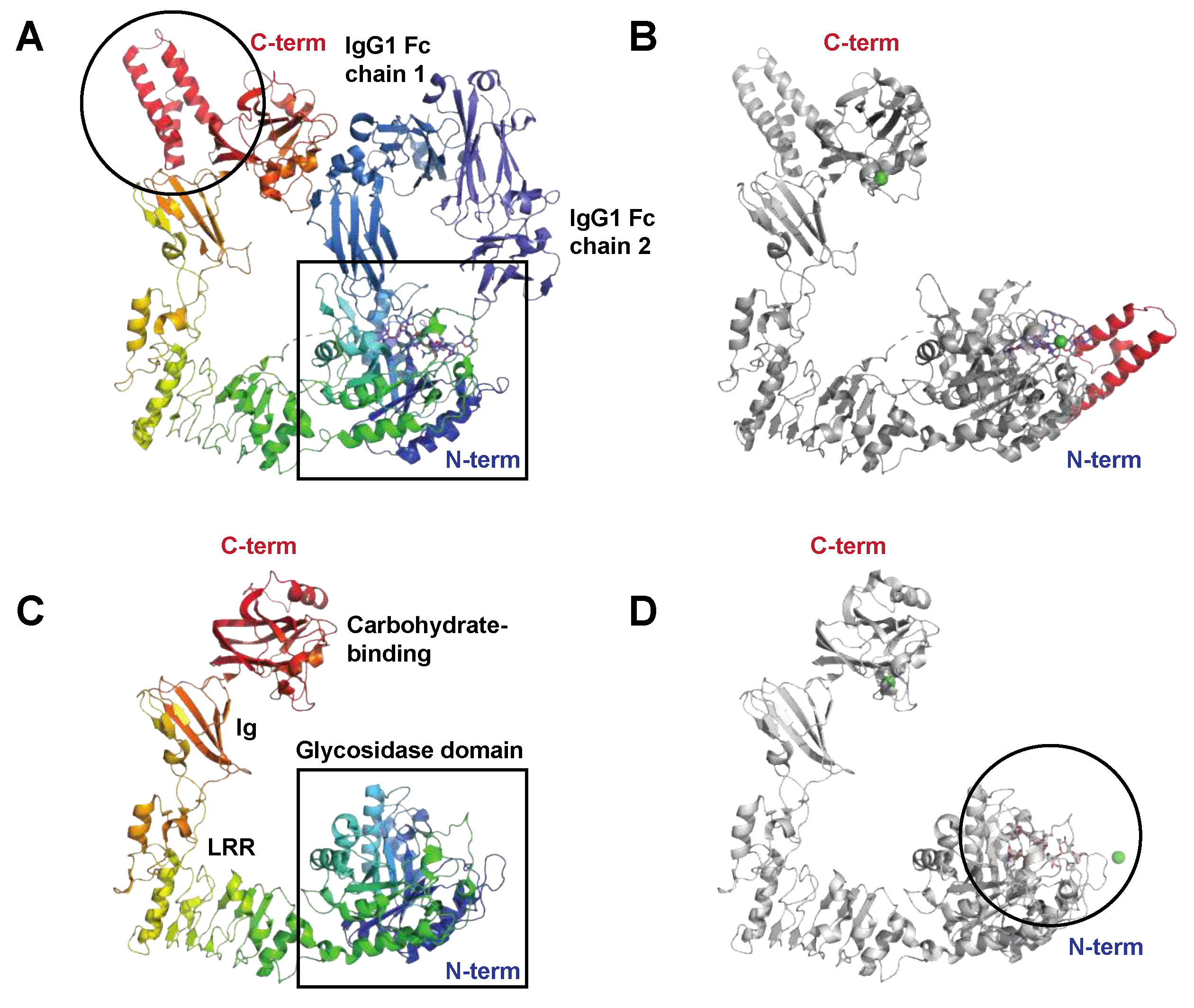 Microorganisms 12 00200 g003 Microorganisms 12 00200 g003