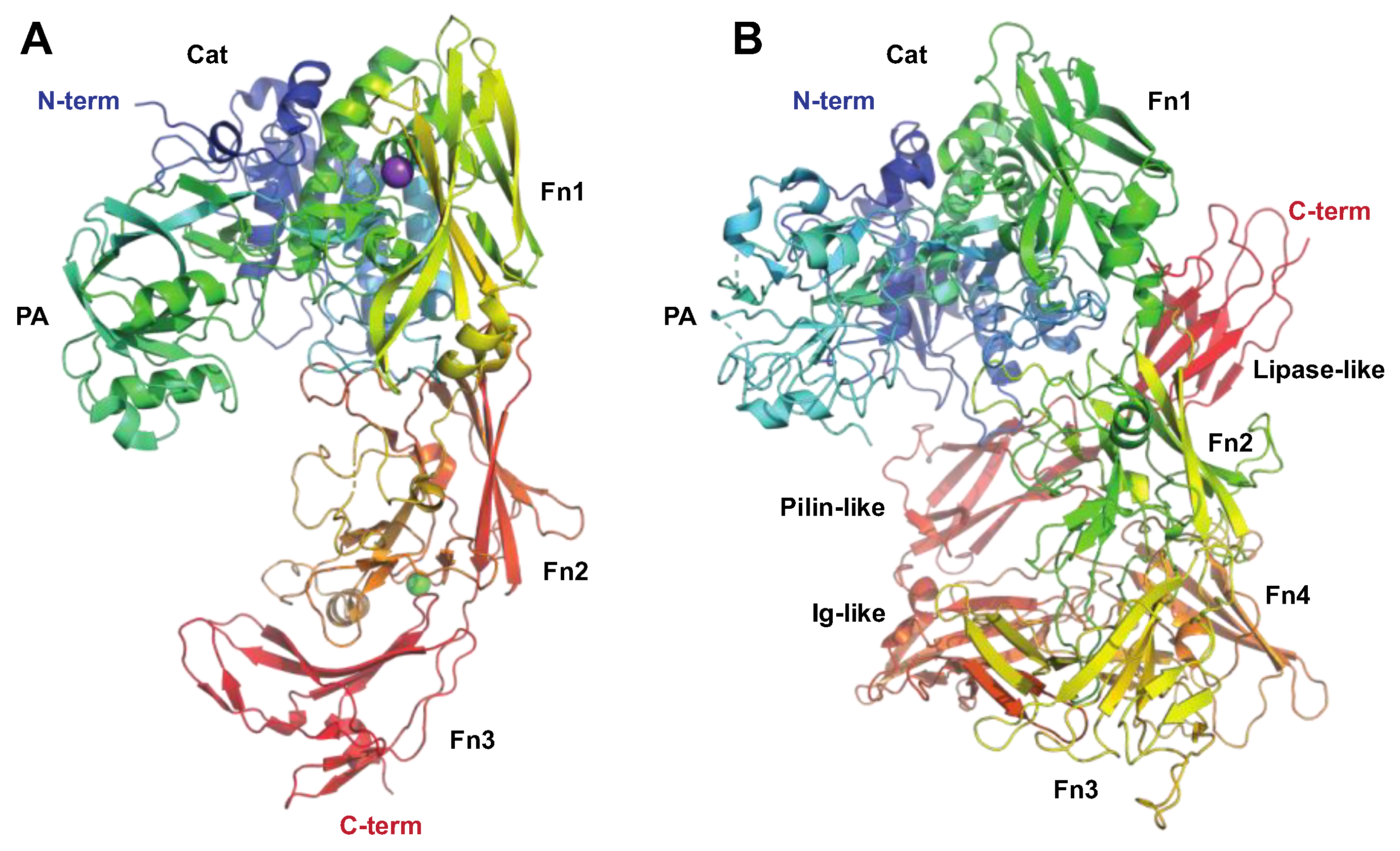 Microorganisms 12 00200 g004 Microorganisms 12 00200 g004