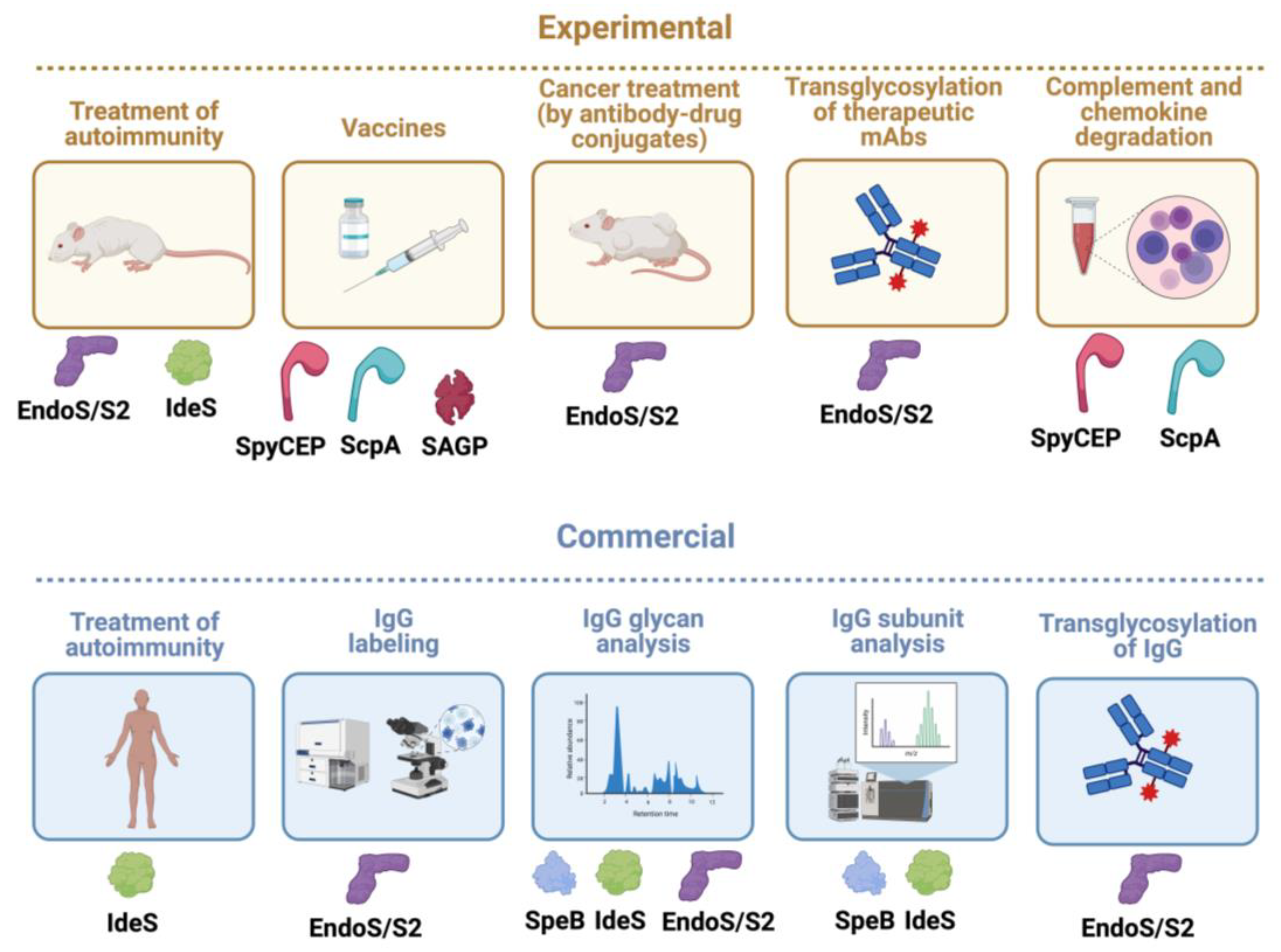 Microorganisms 12 00200 g008 Microorganisms 12 00200 g008