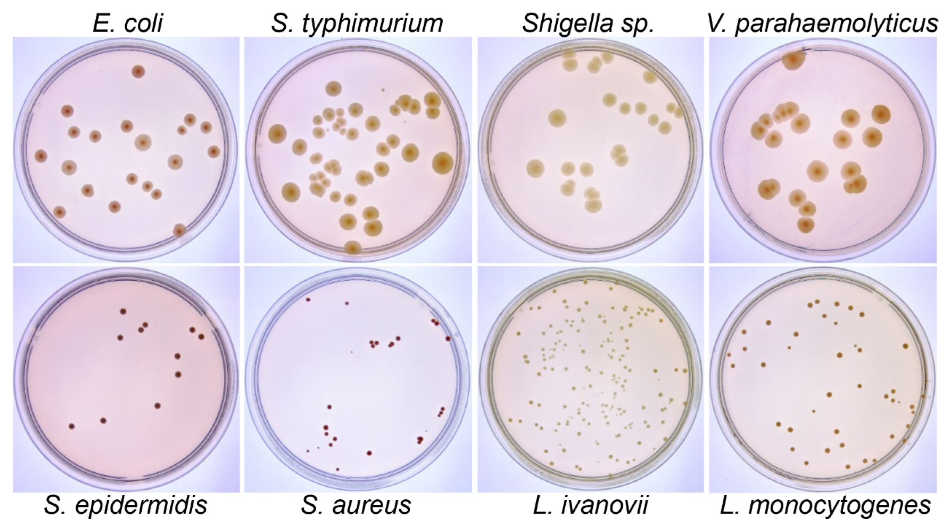 Microorganisms 12 00201 g003
