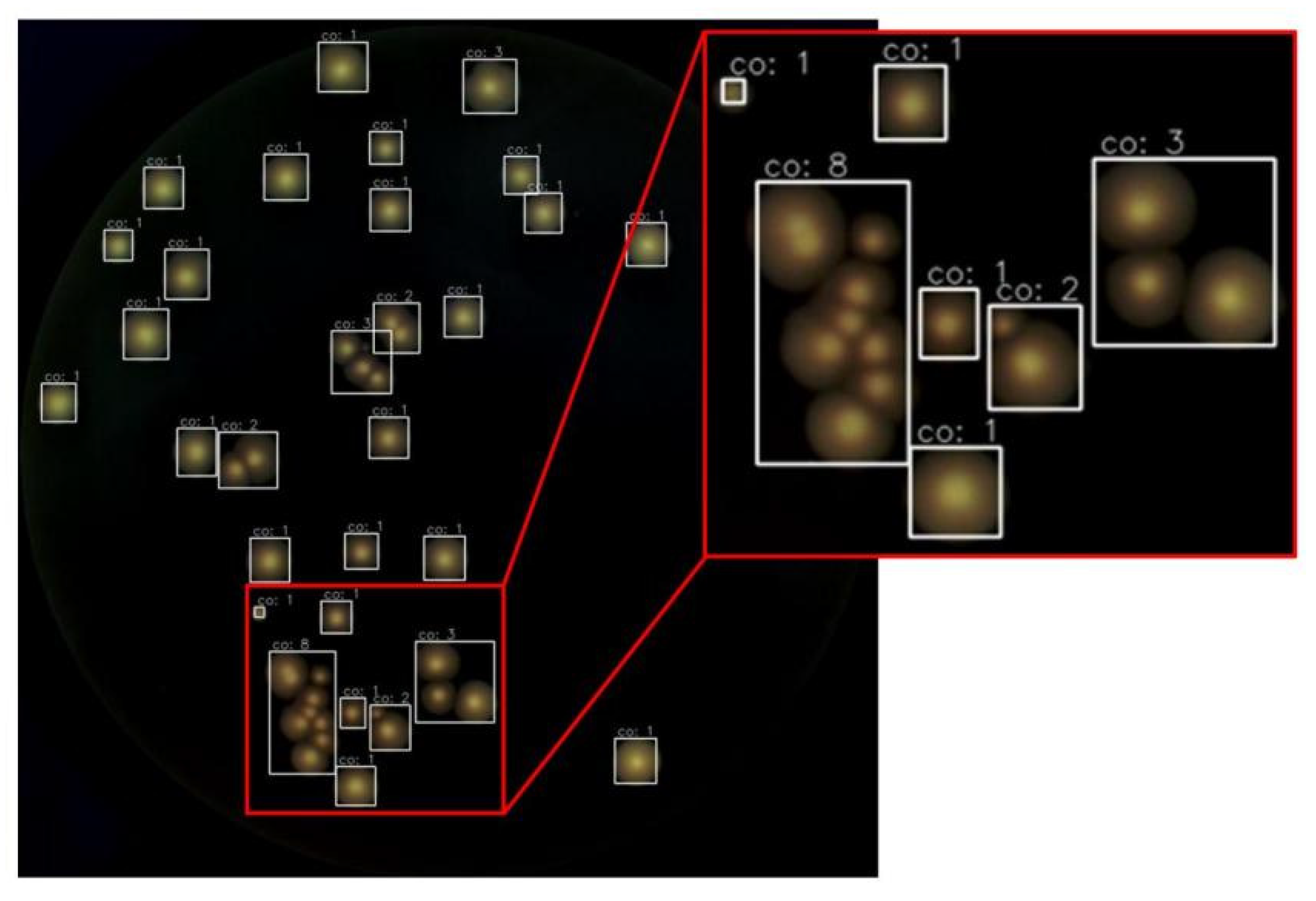 Microorganisms 12 00201 g009