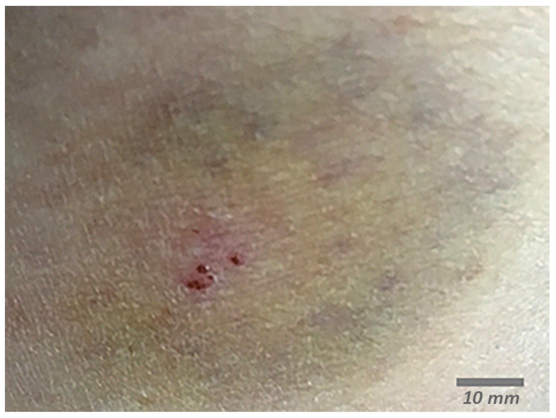 Microorganisms 12 00209 g001