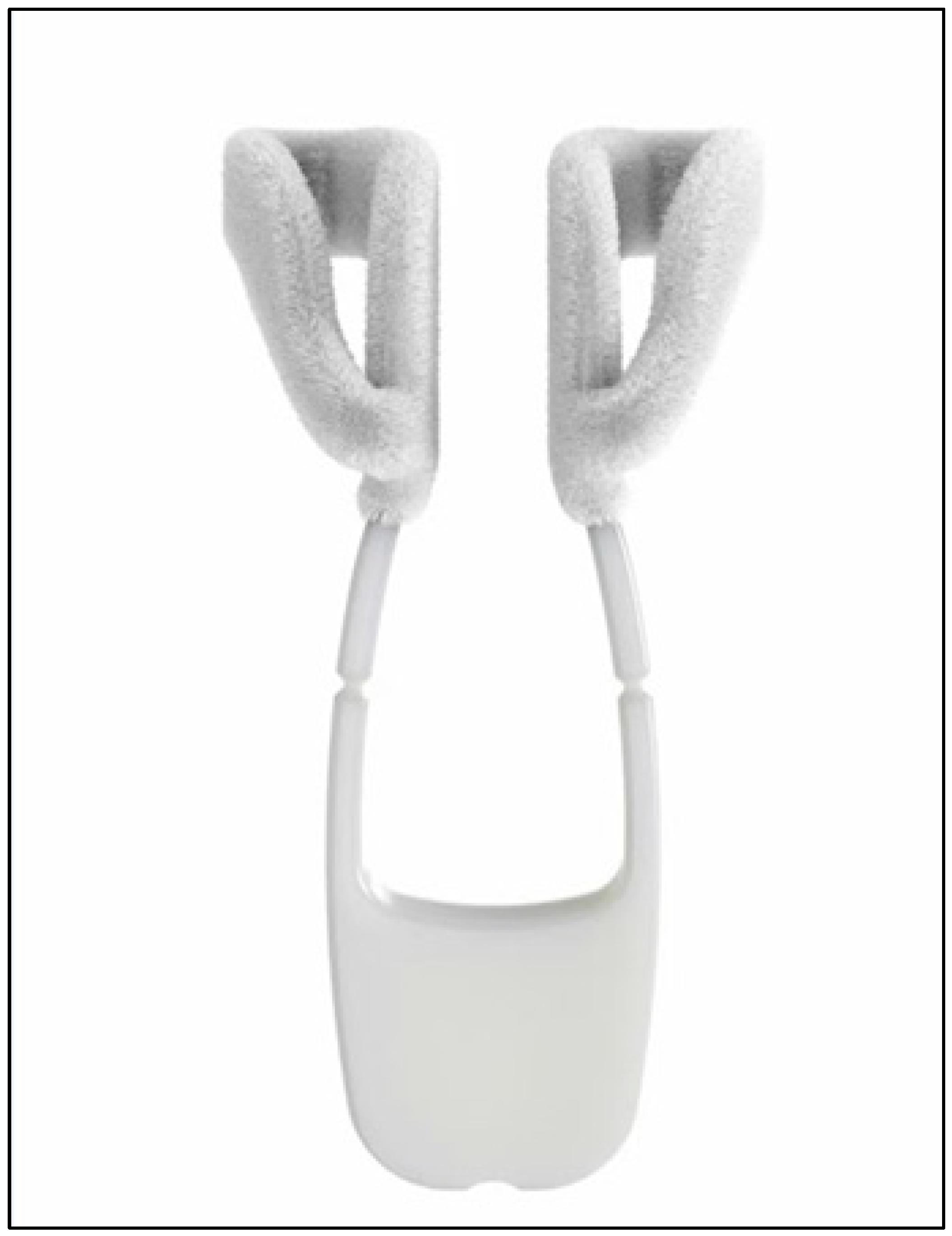 Microorganisms 12 00210 g001