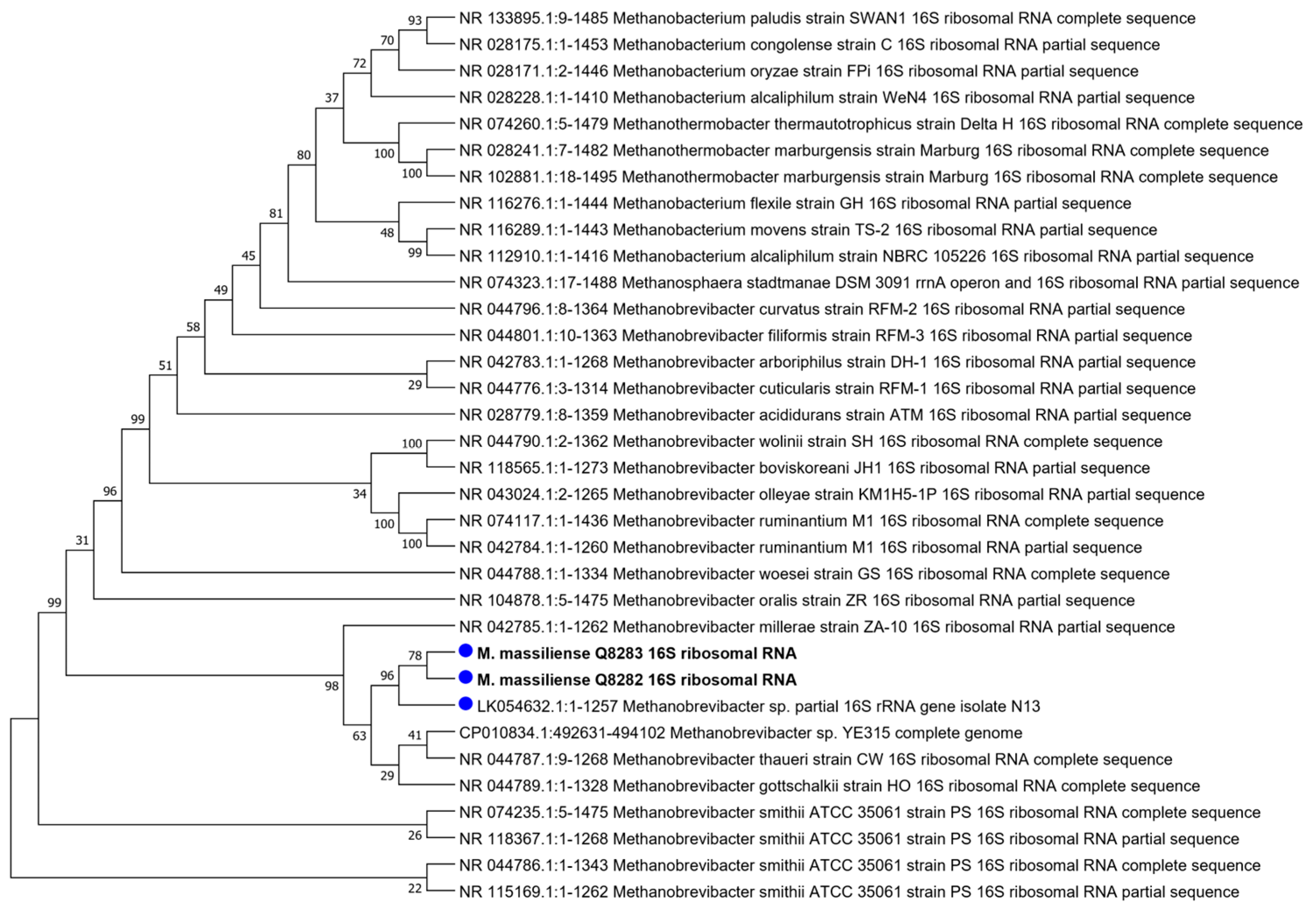 Microorganisms 12 00215 g005