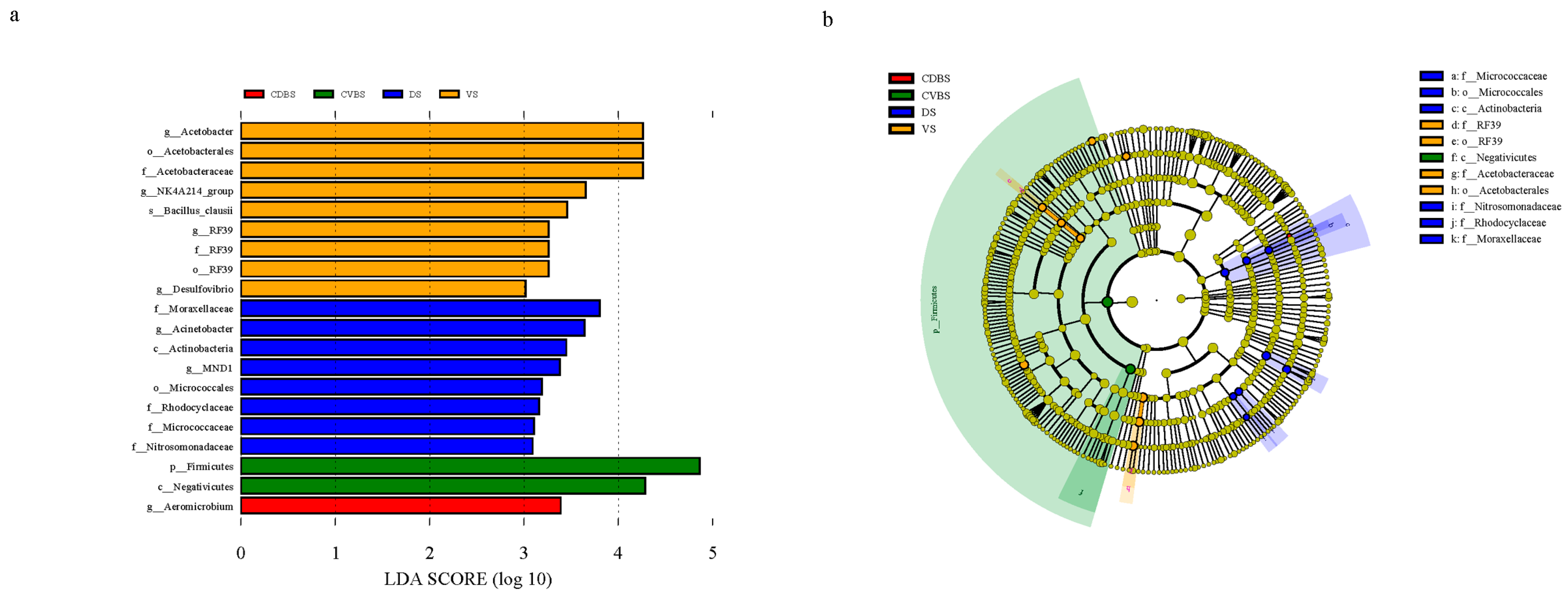 Microorganisms 12 00216 g004